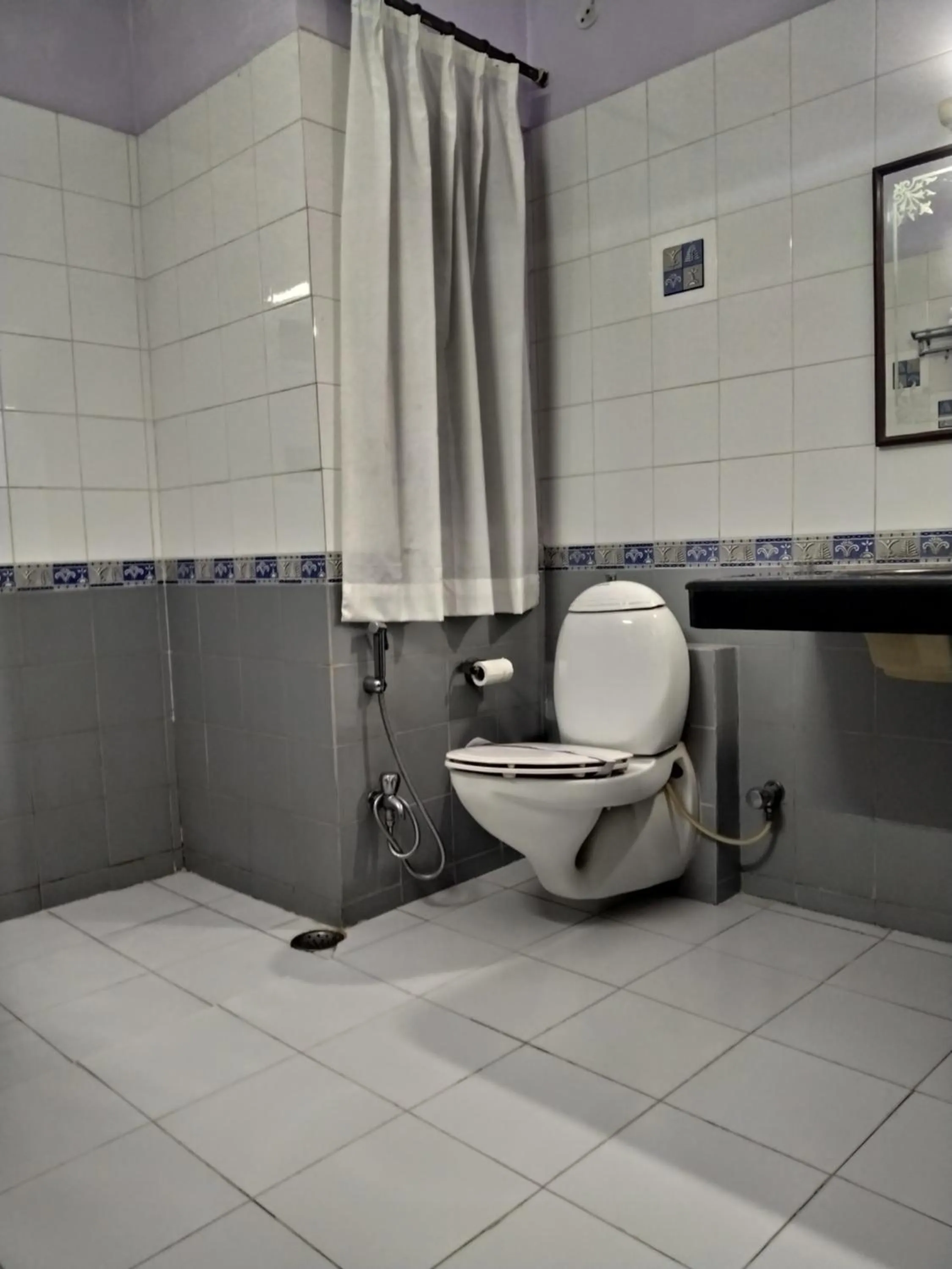 Bathroom in Anuraag Villa