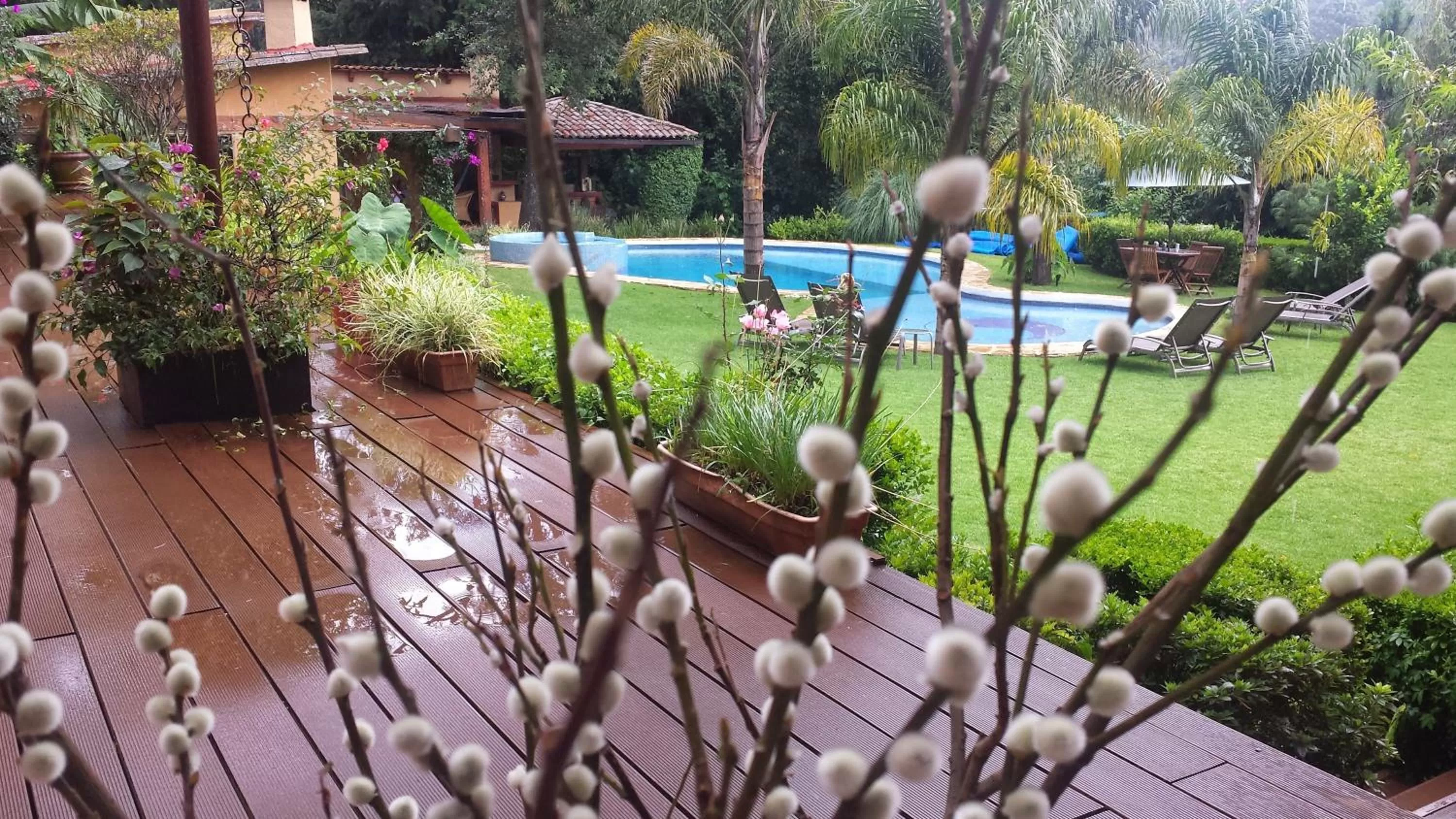 Pool view in La Joya del Viento