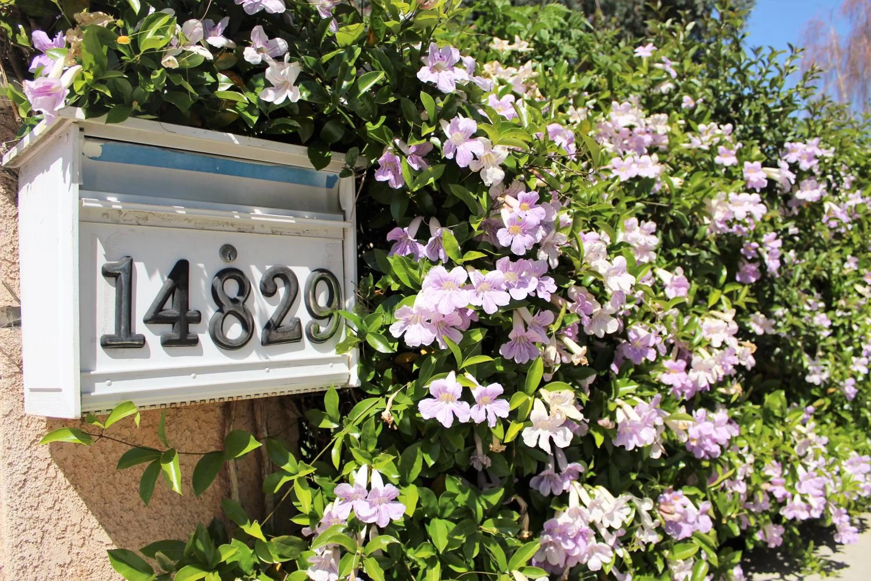 Property building in Sweet Dreams B&B LA