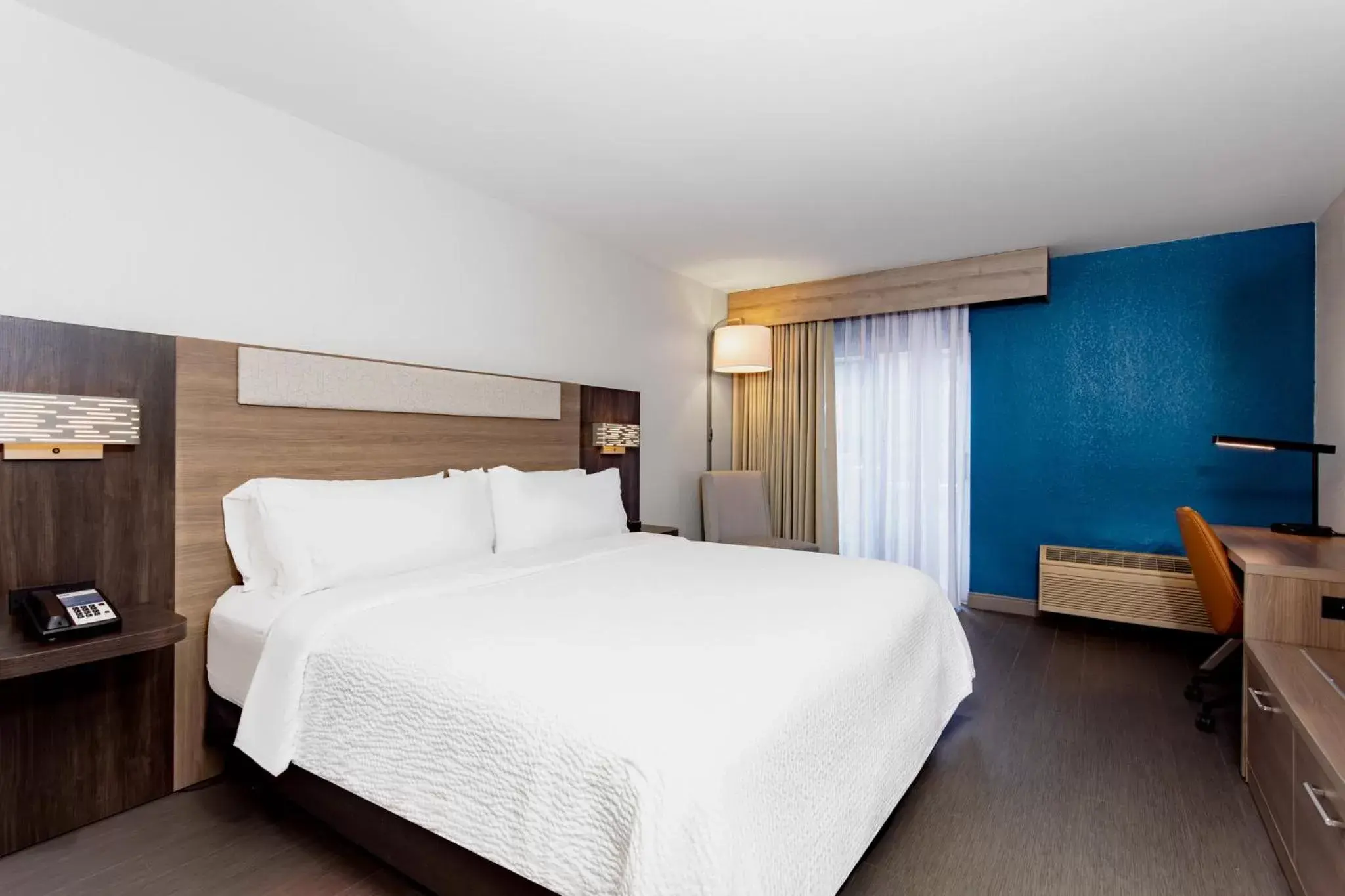 King Room - Poolside in Holiday Inn Express Hotel Clearwater East - ICOT Center, an IHG Hotel King Room - Poolside in Holiday Inn Express Hotel Clearwater East - ICOT Center, an IHG Hotel