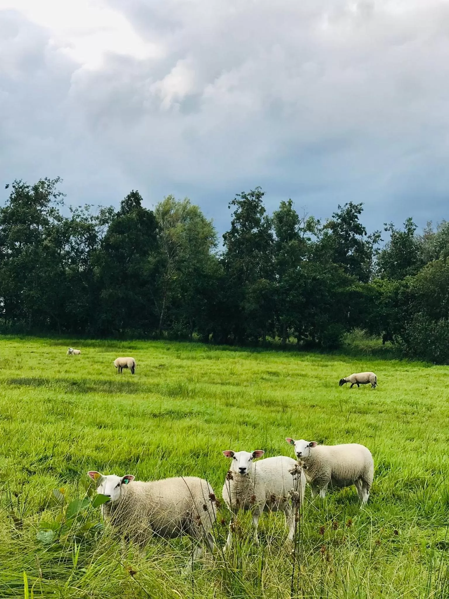 De Dames Van De Jonge Hotel Restaurant