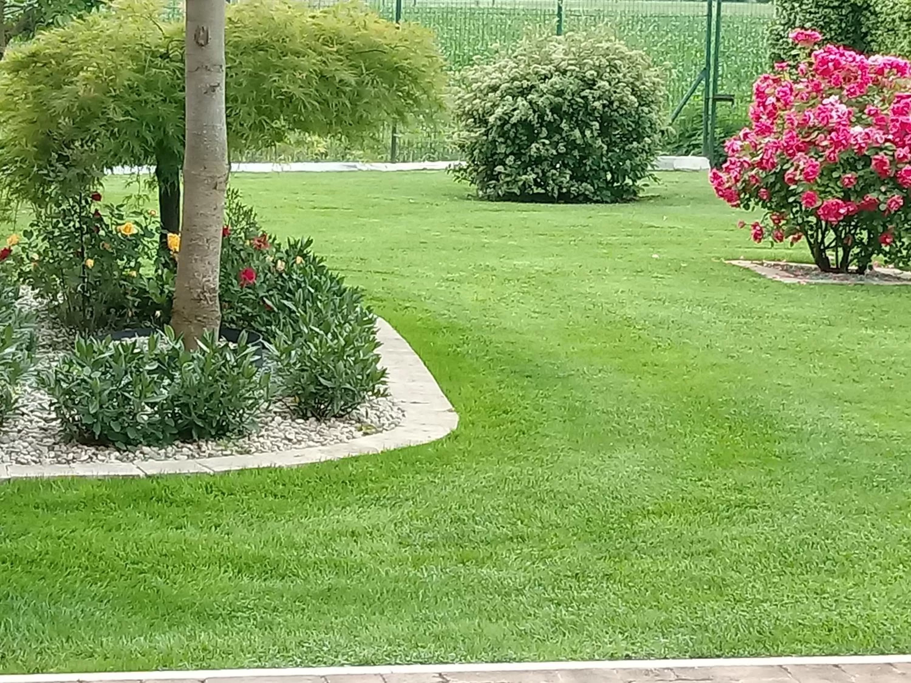 Garden in B&B Residence il Ciliegio , Via Villa Superiore 93 Luzzara