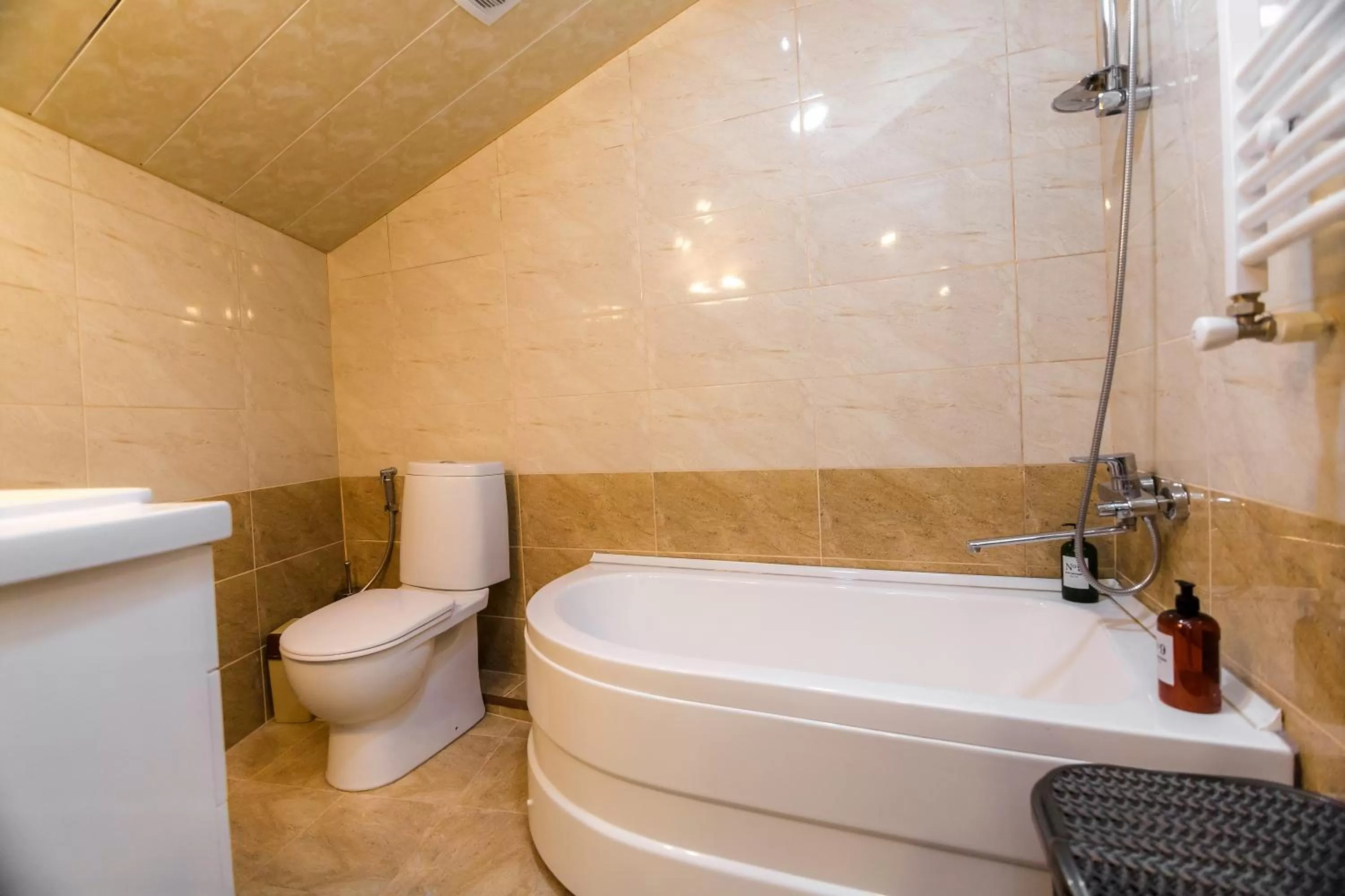 Toilet, Bathroom in VovaDoma