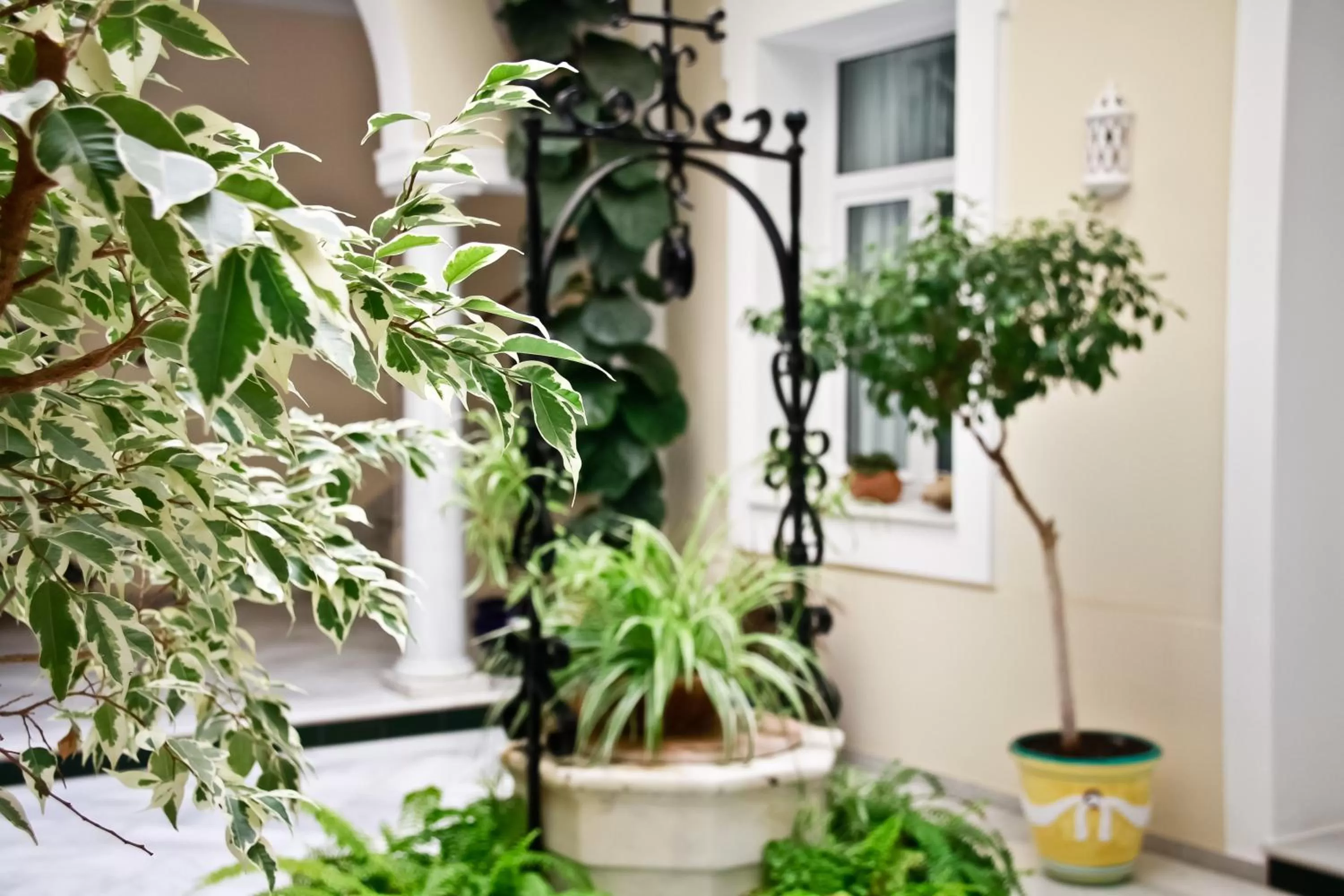 Patio in Hotel La Española