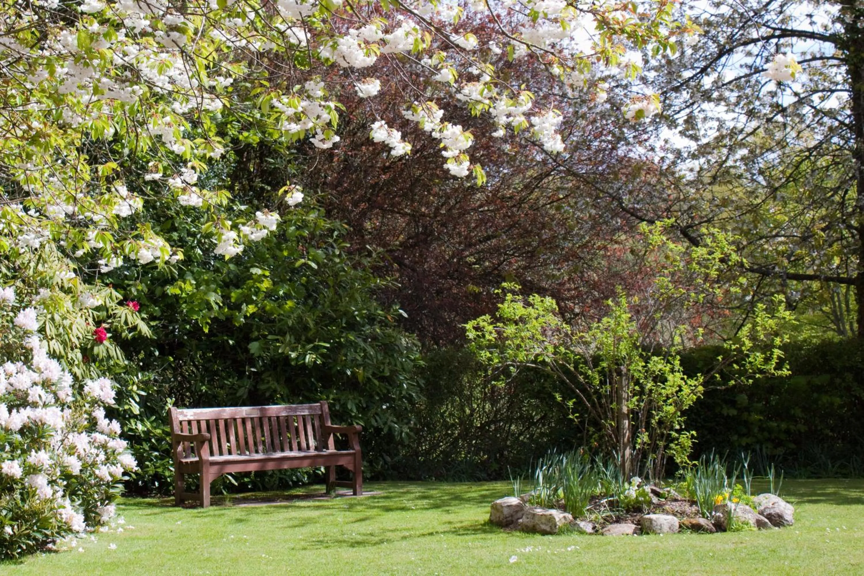 Garden view in Bankton House