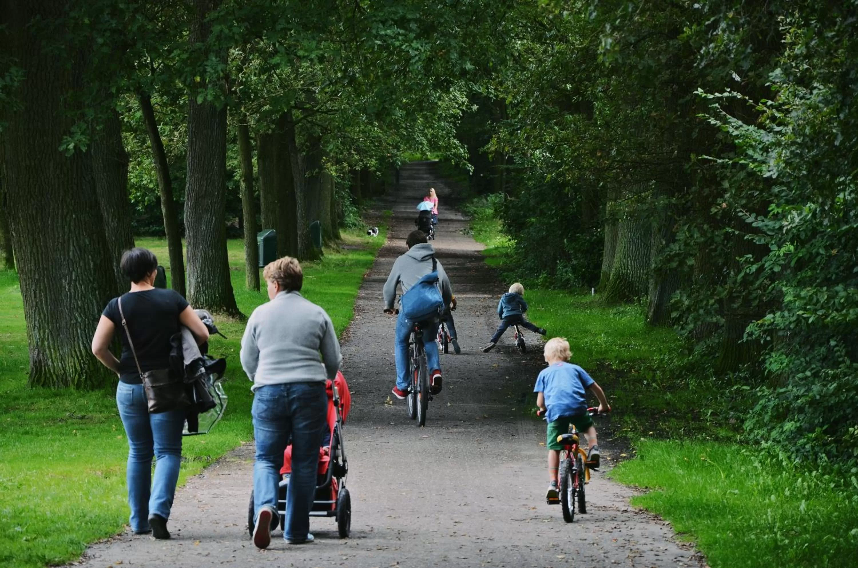 Hiking in Green Resort Limburg