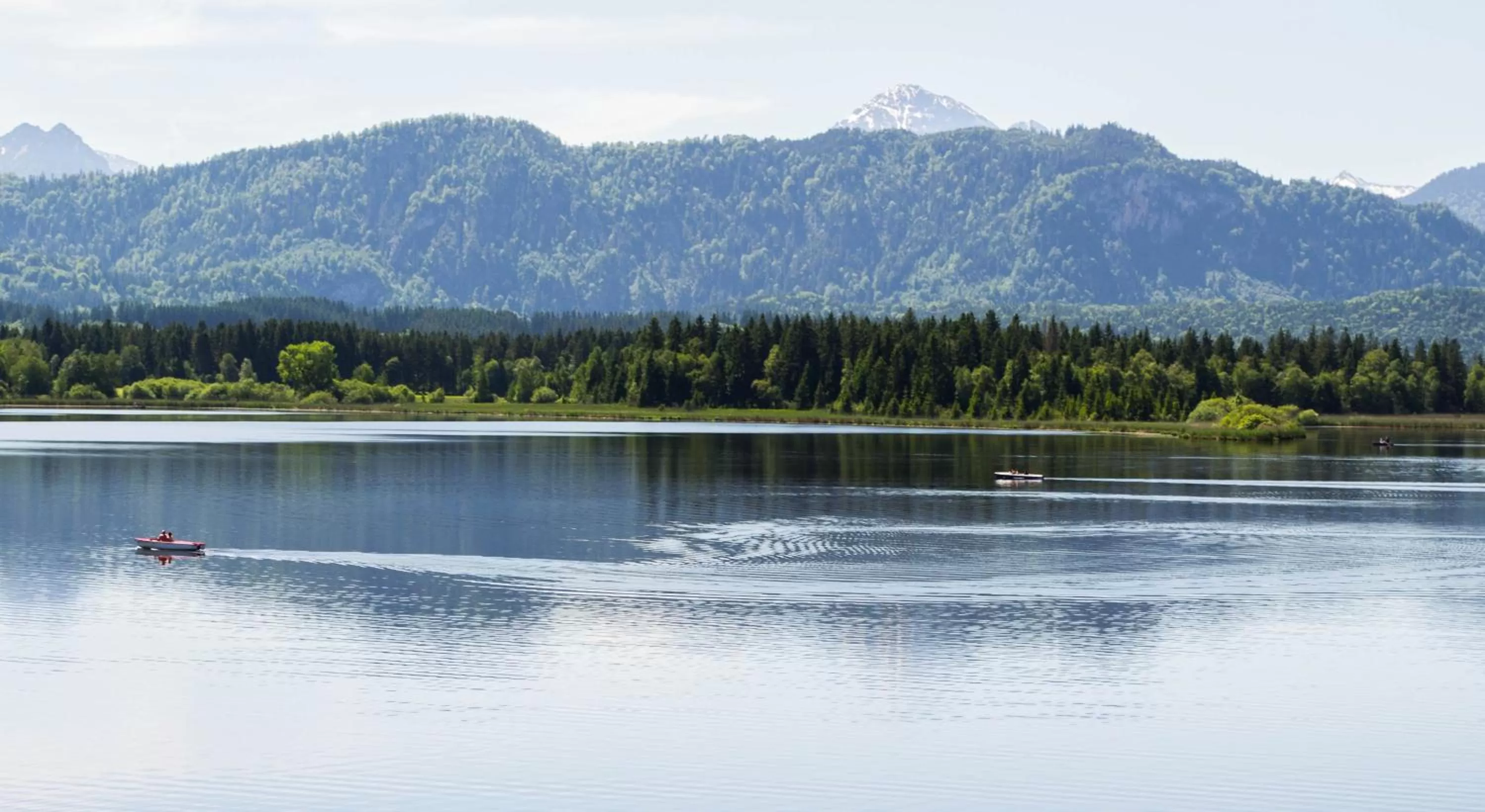 View (from property/room), Mountain View in Residenz Hopfensee