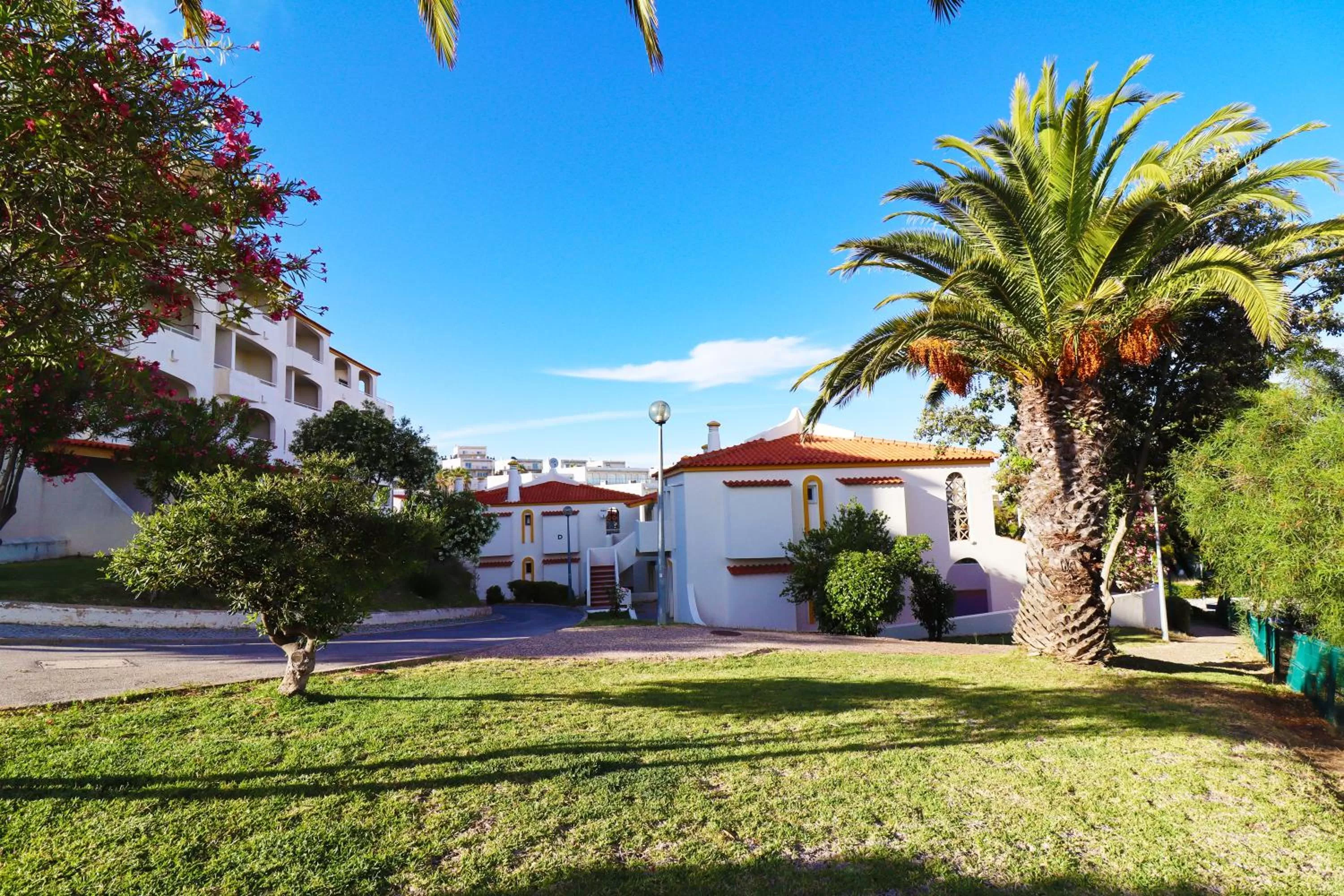 Garden in Bellavista Jardim By BeGuest