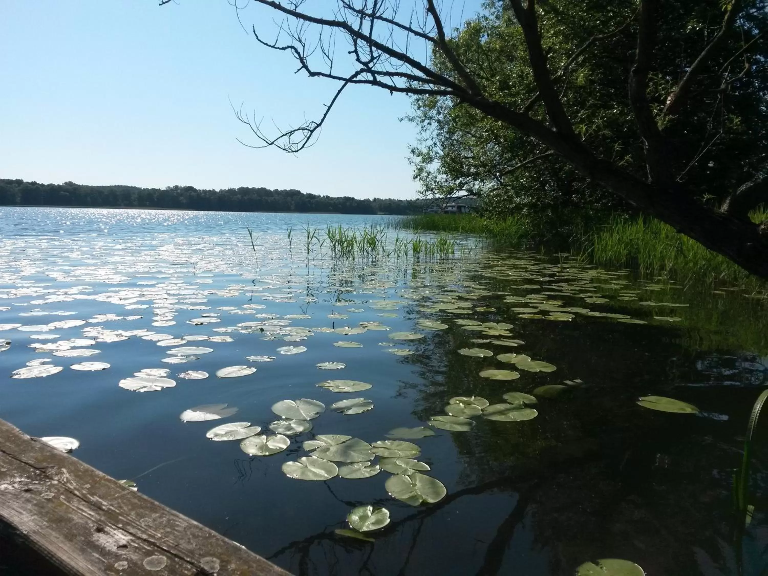 Natural landscape in Gościniec Molo