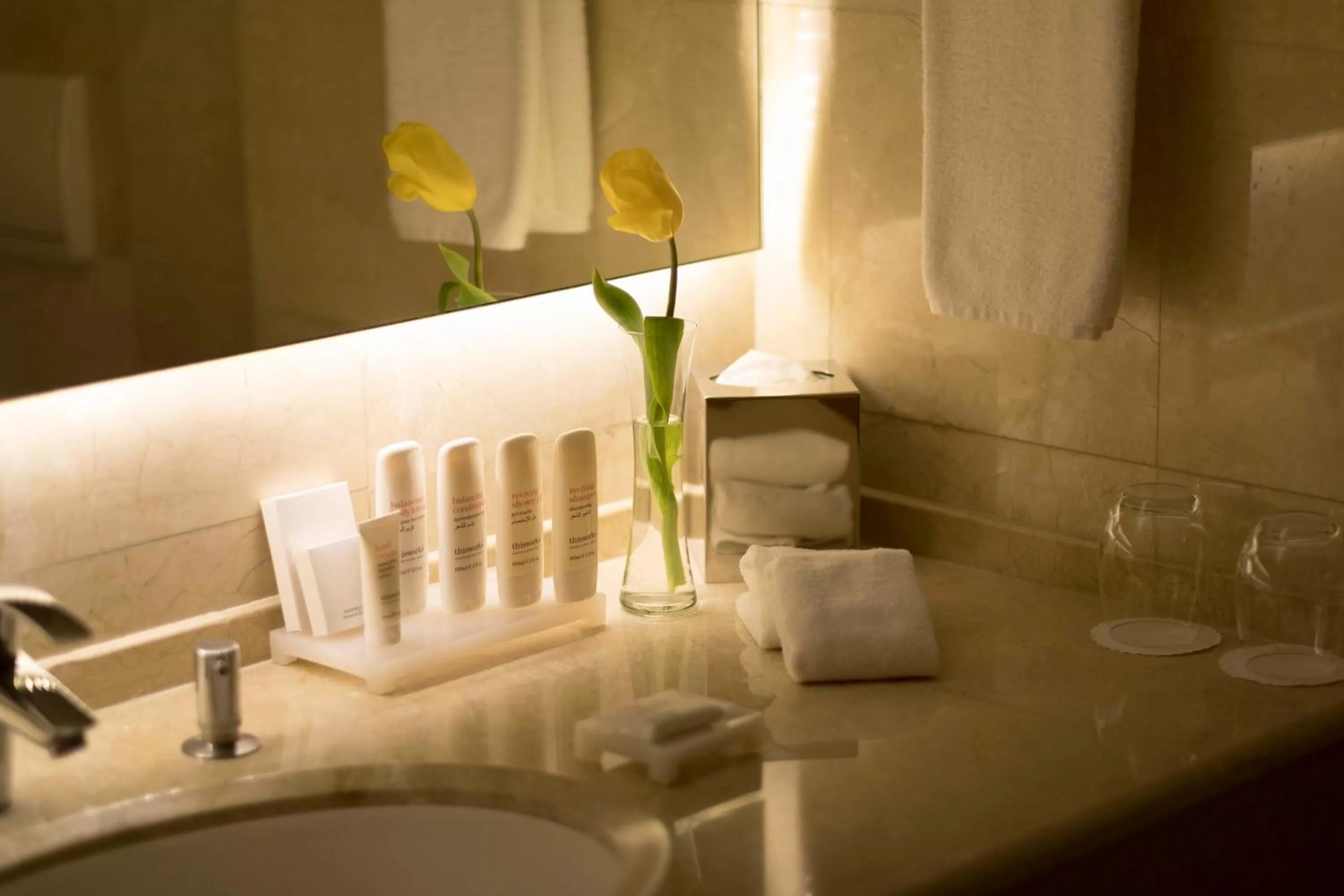 Toilet in Radisson Blu Hotel, Beirut Verdun