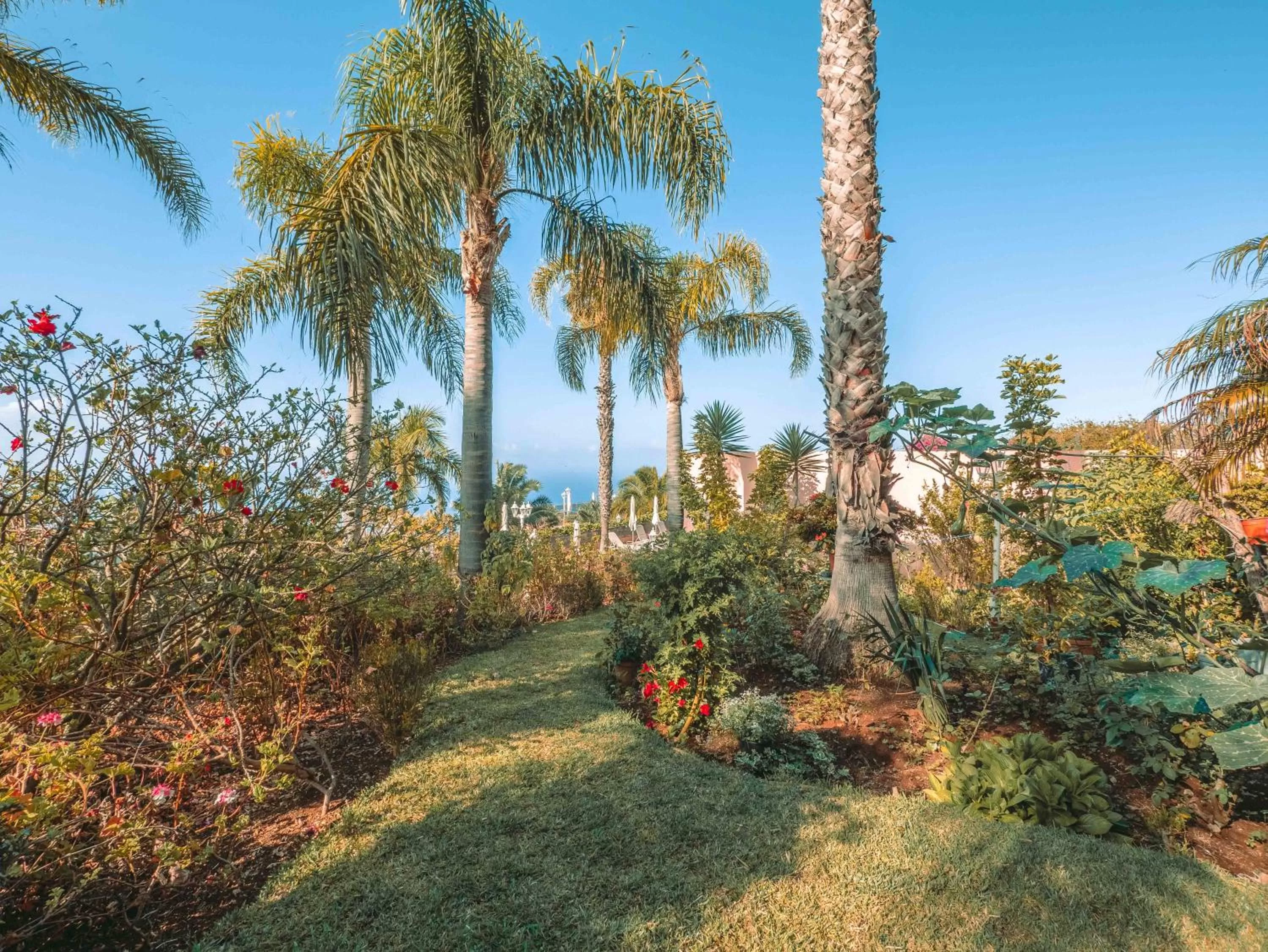 Garden in Ocean Gardens