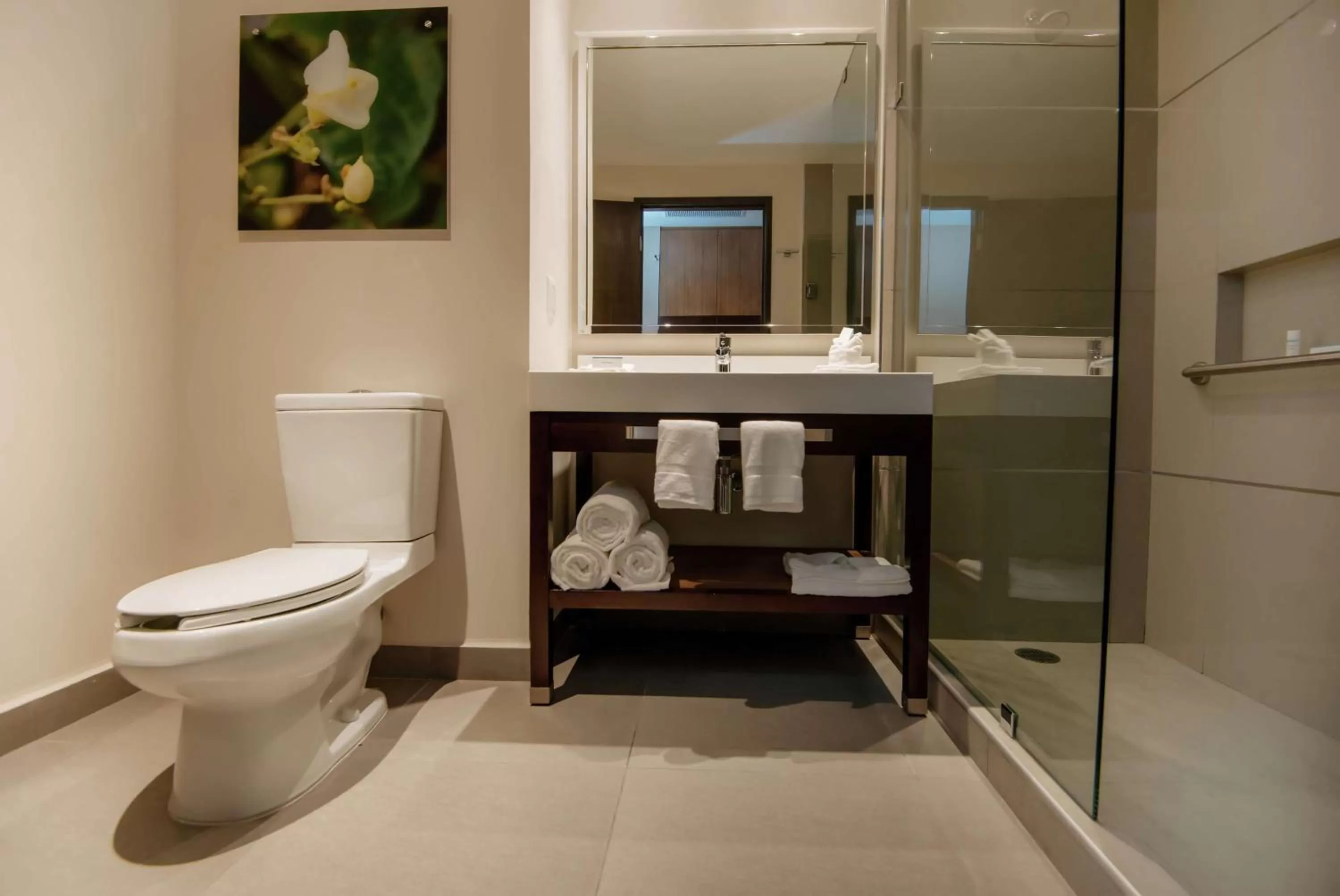 Shower in Hilton Garden Inn Puebla Angelopolis