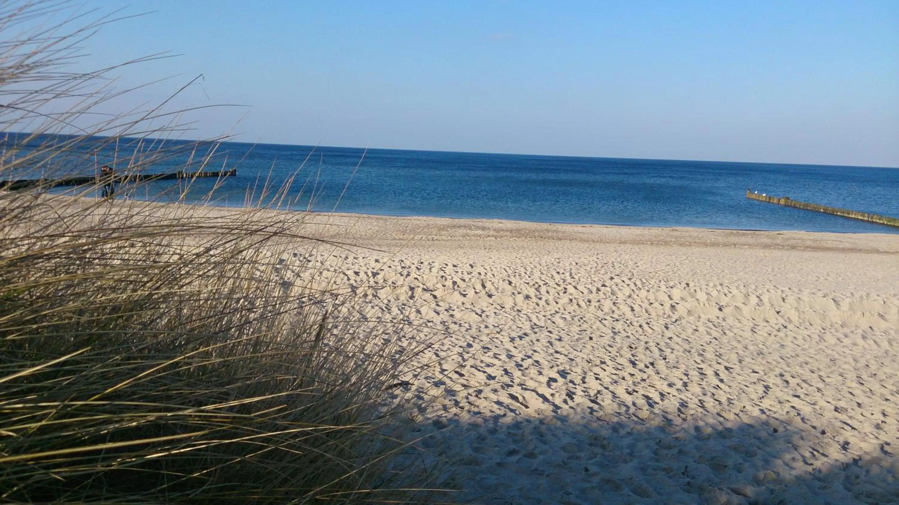 Day, Beach in Hotel Poseidon