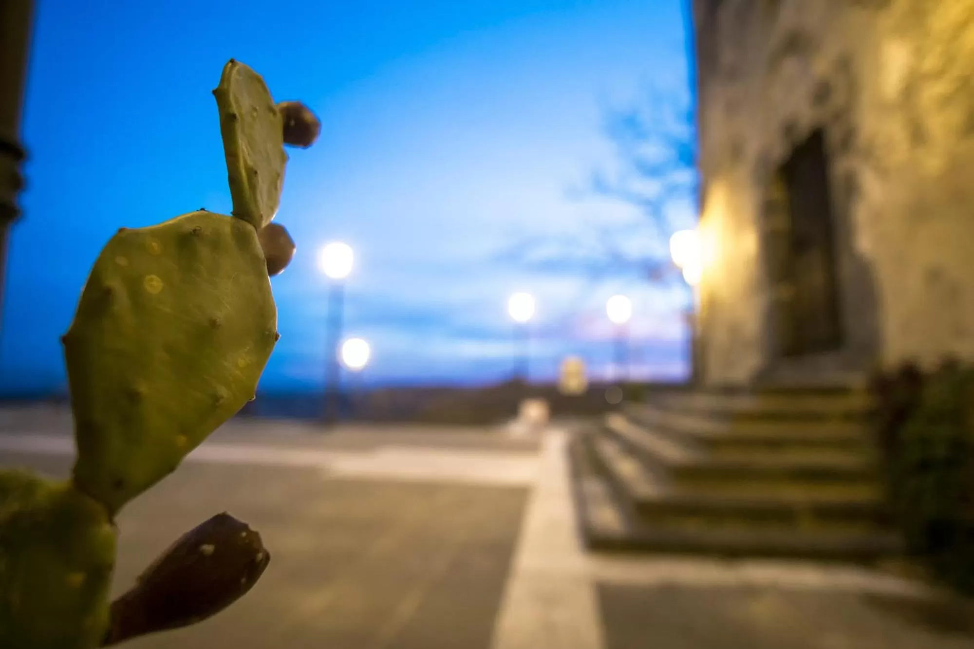 Facade/entrance in Bed and Relax-Il Maniero