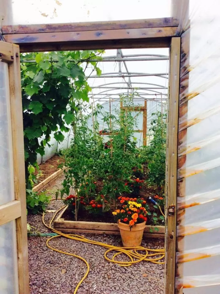 Property building in Holland House F94DP26