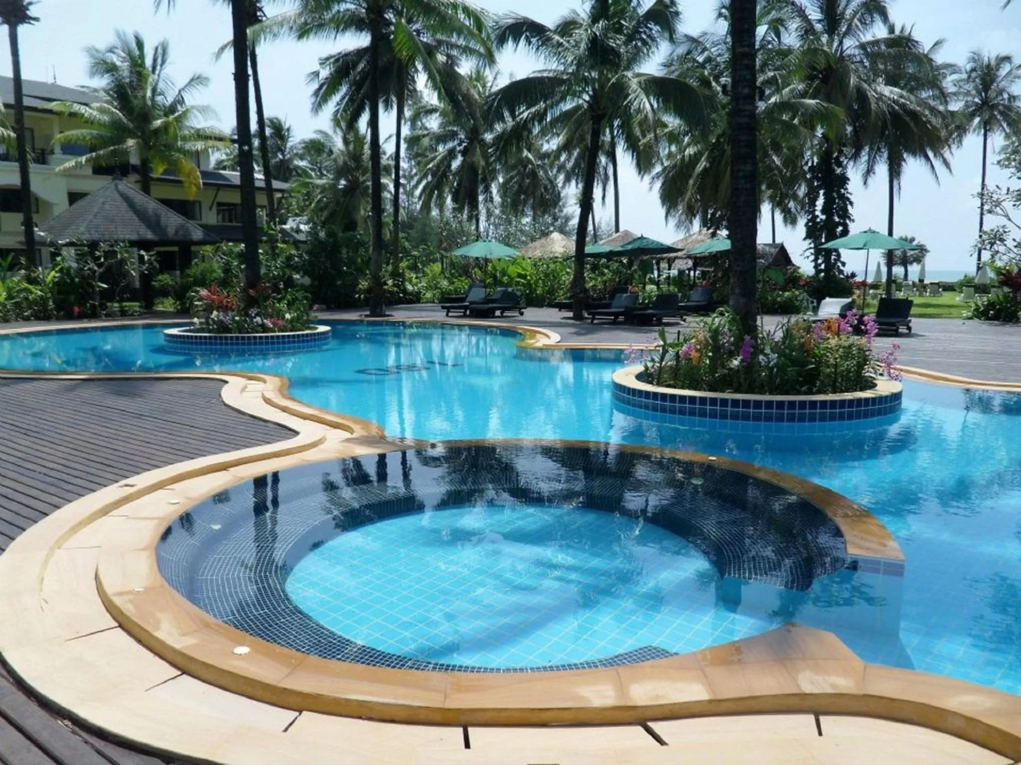 Swimming pool in Khaolak Orchid Beach Resort - SHA Extra Plus
