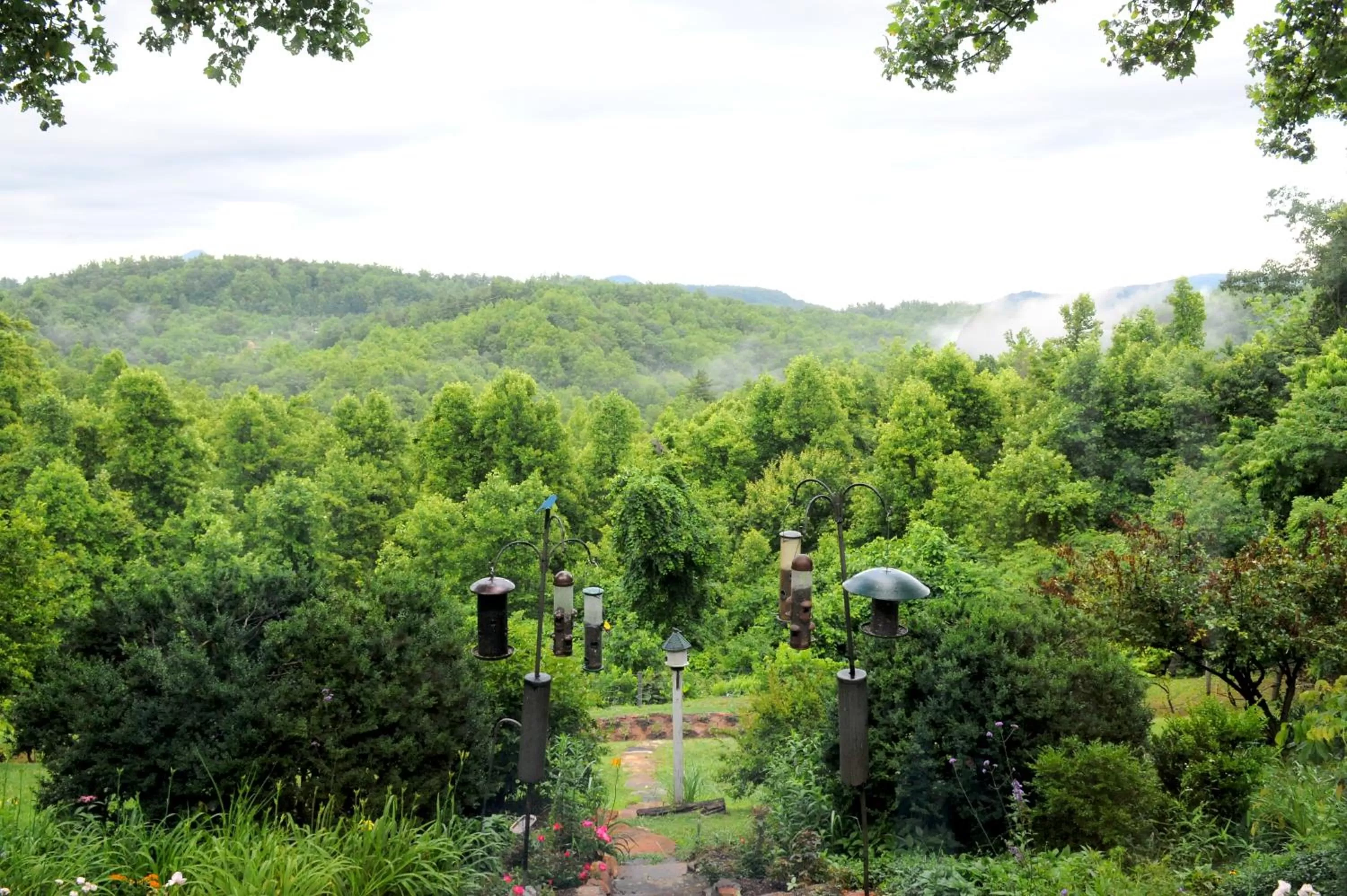Garden view in Orchard Inn