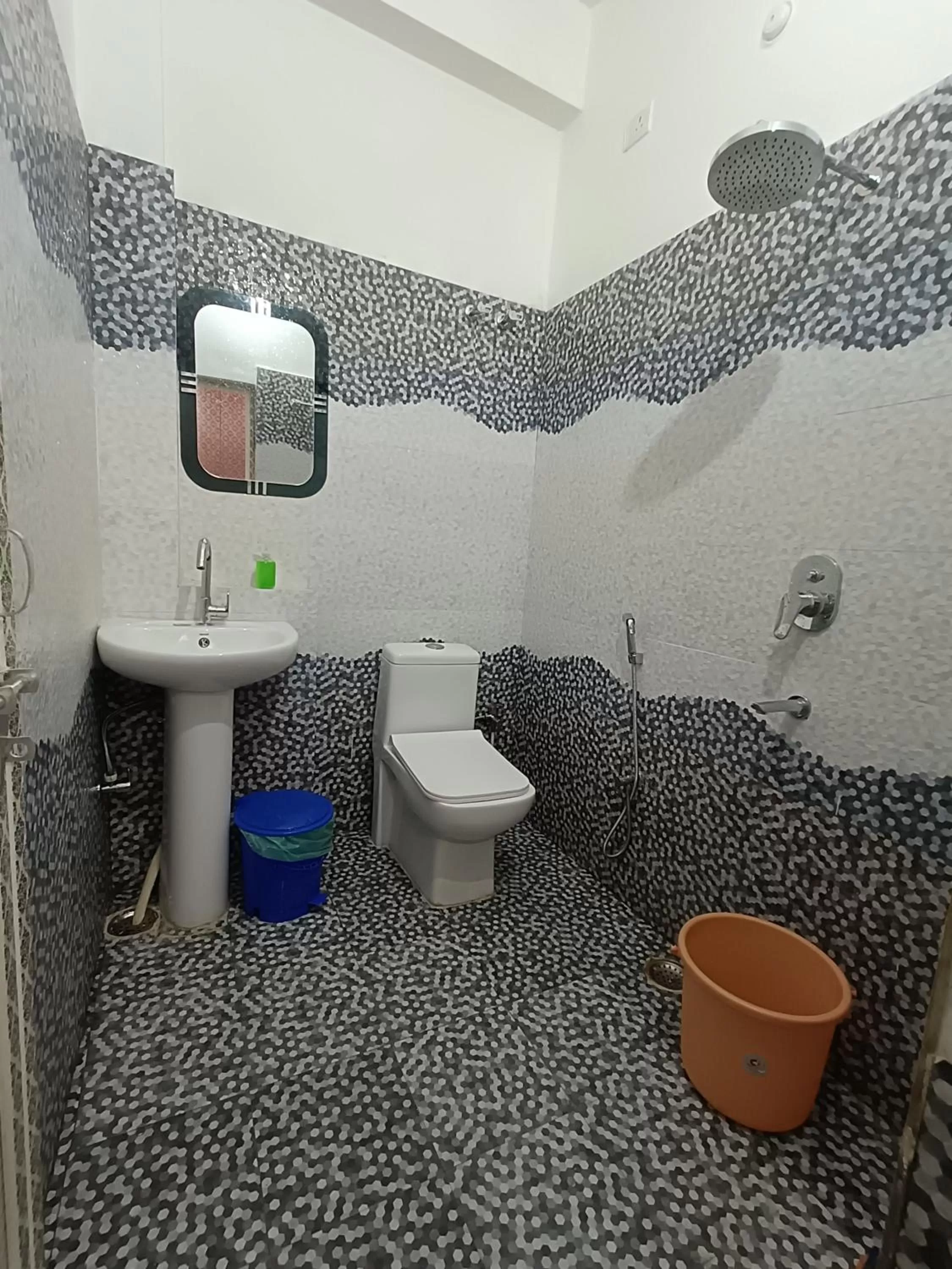 Bathroom in Saraswati Palace