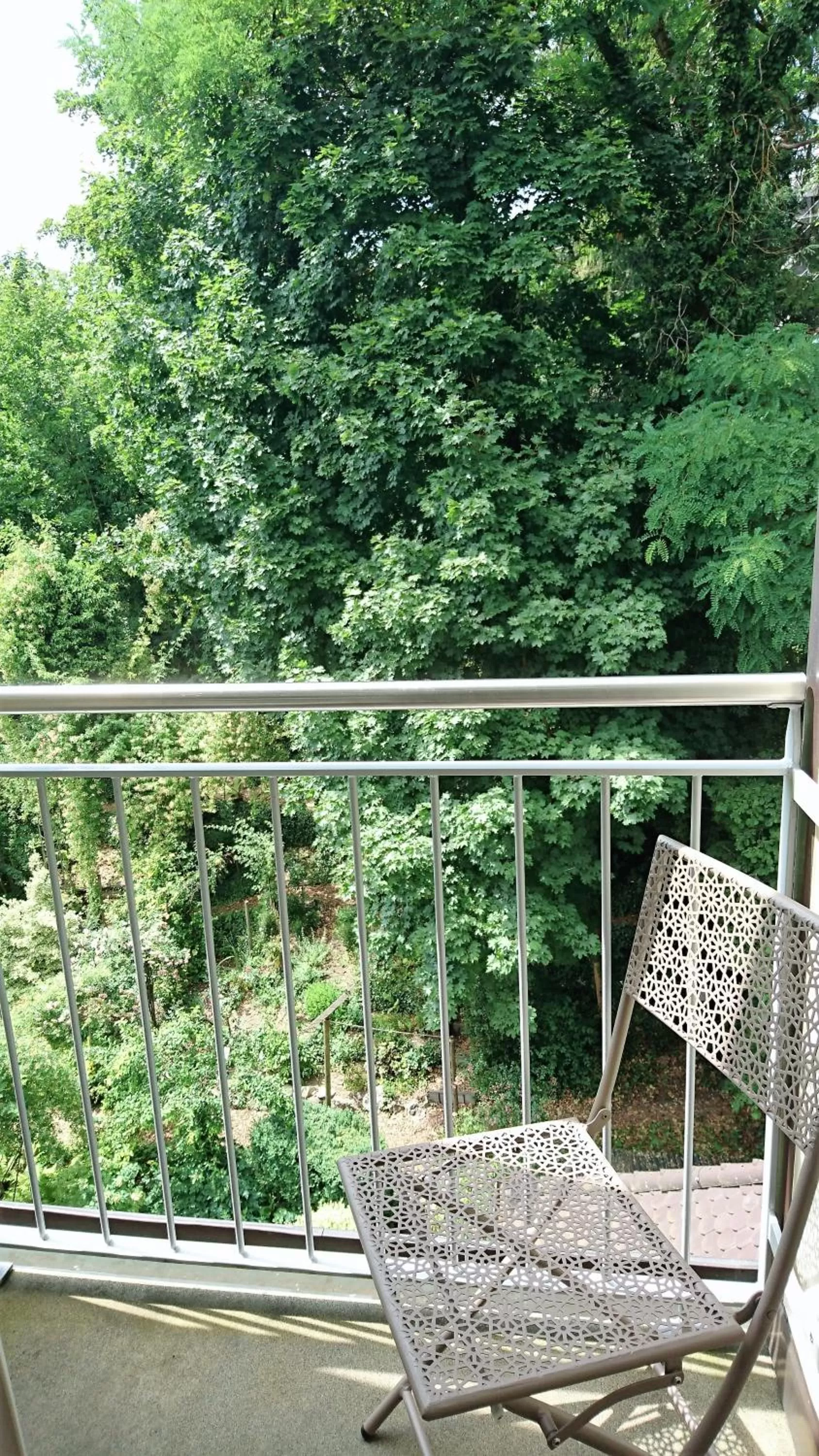 Garden view in Hotel Promenade