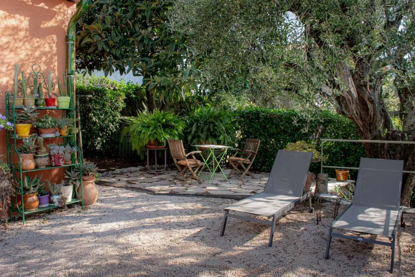 Garden view in Le Clos des Oliviers 188 chemin du Hameau des Bourges 06650 Le Rouret