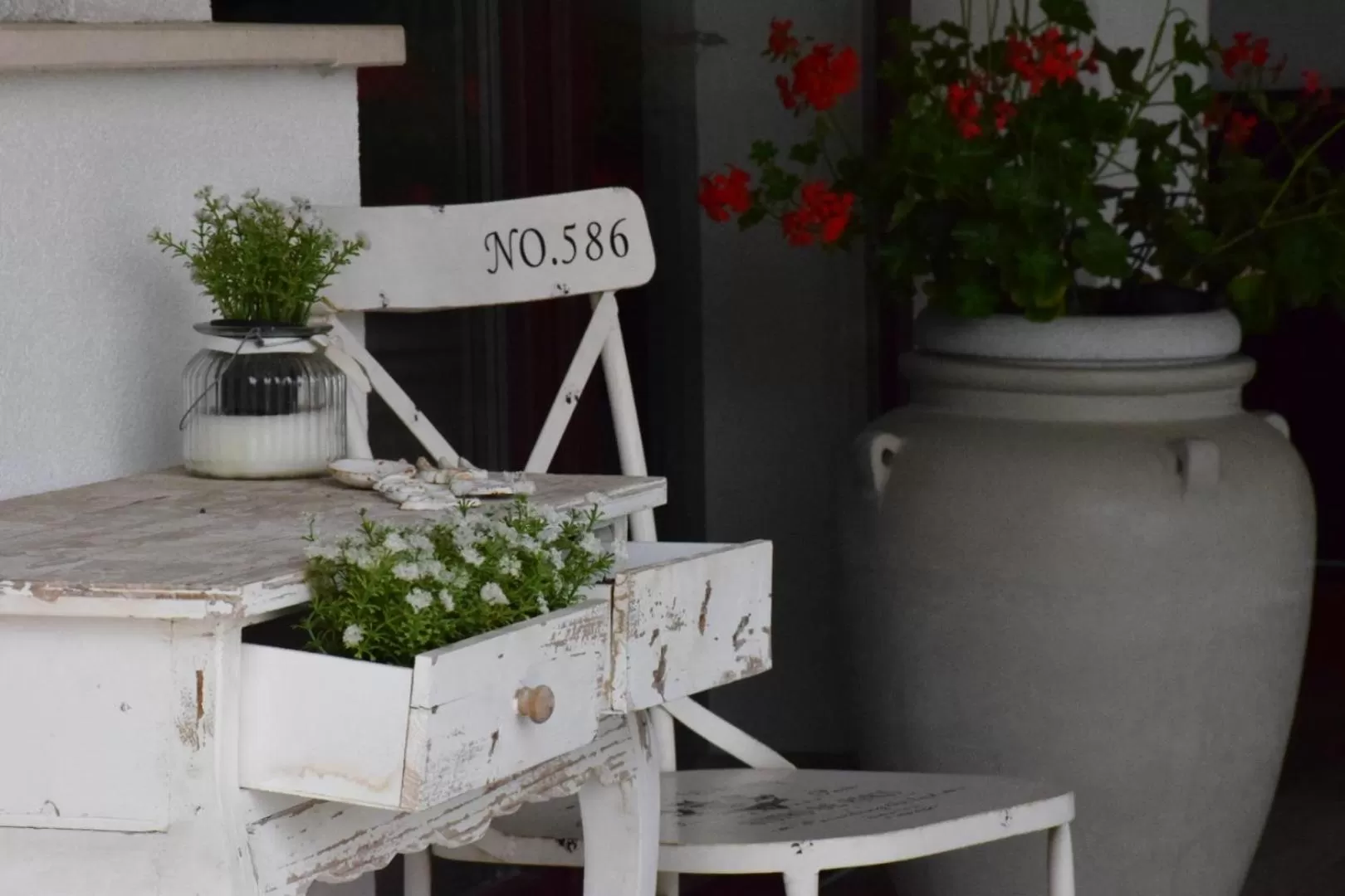 Garden view in Hotel Lotus