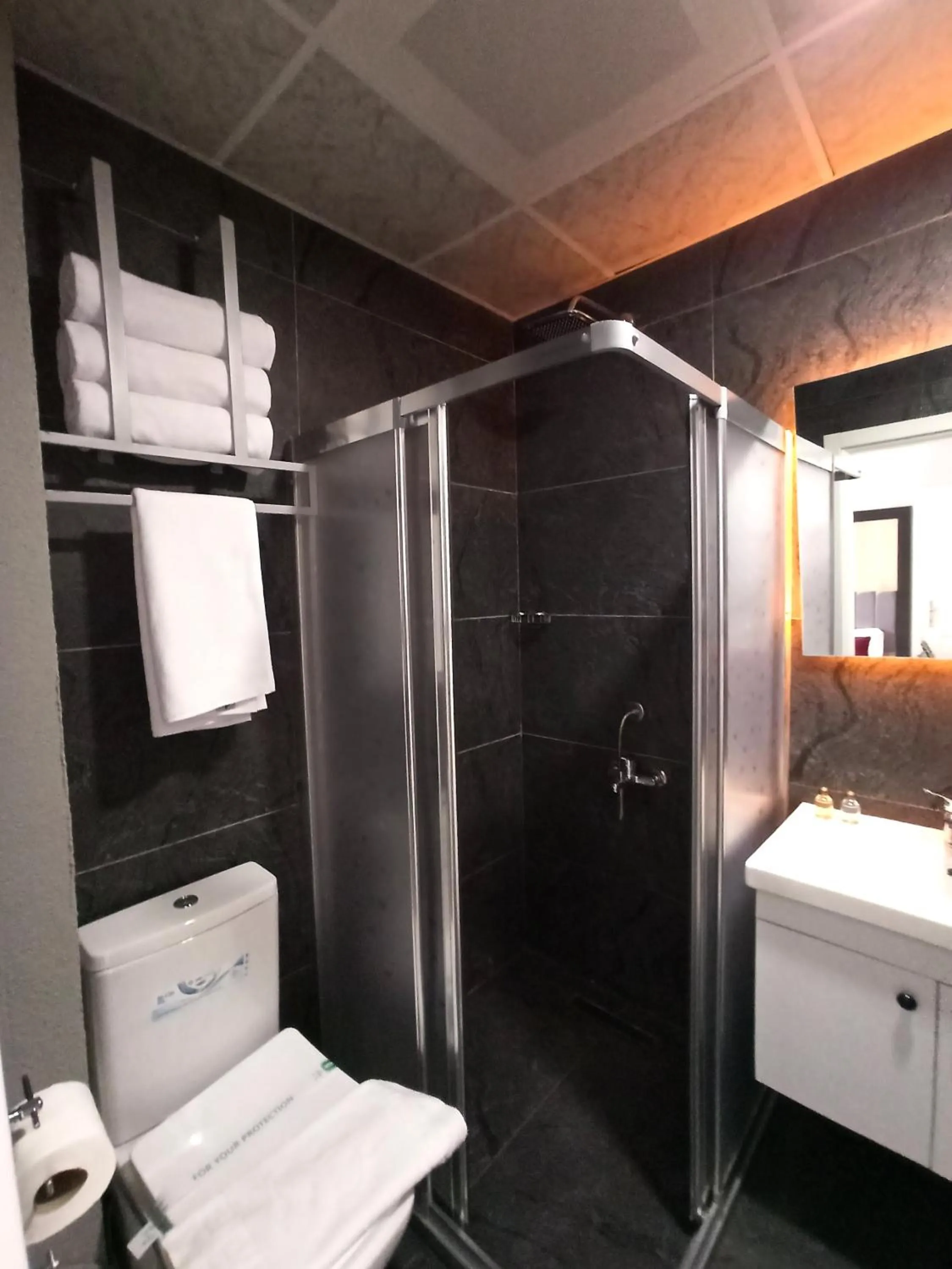 Shower in Skylon Airport Hotel