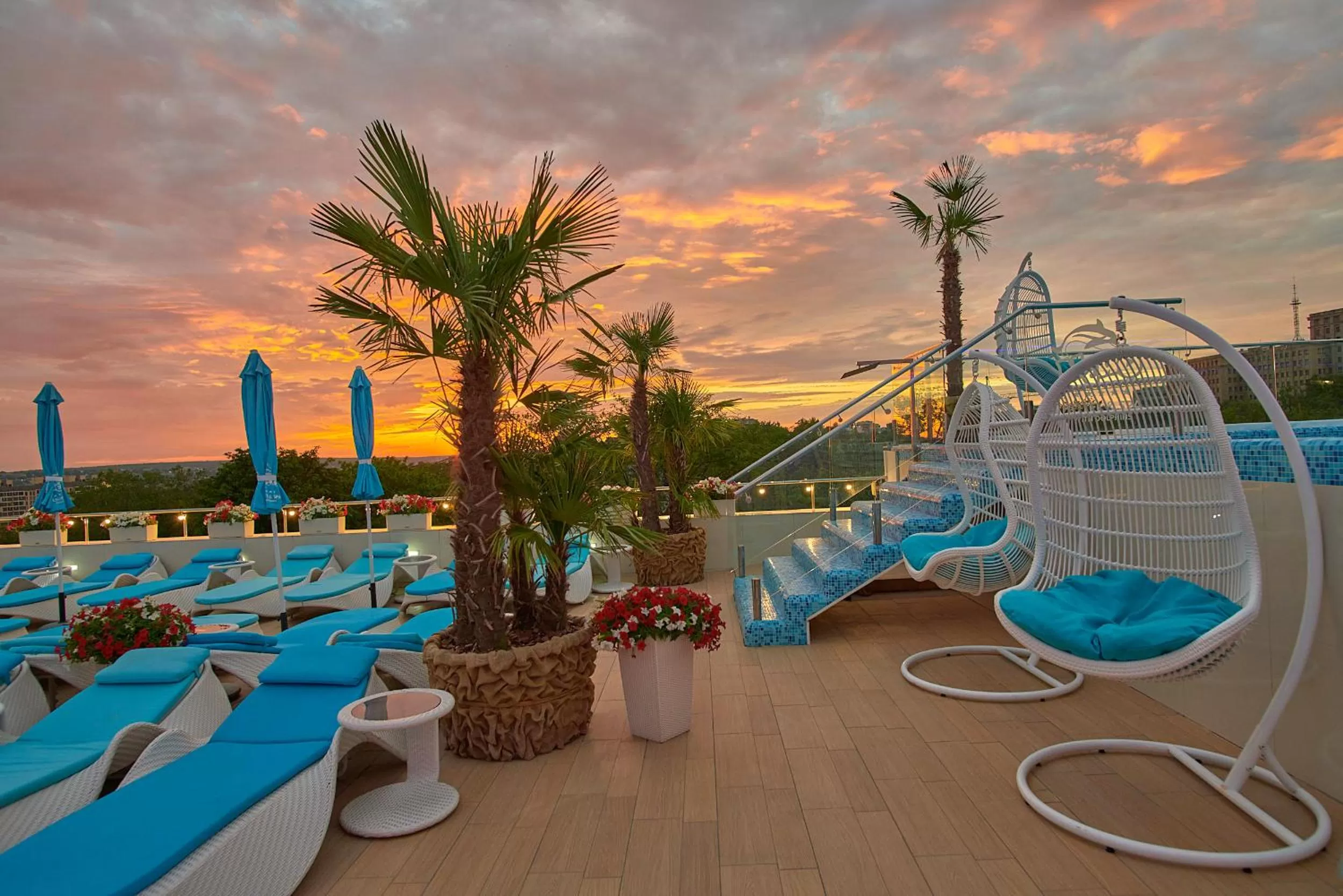 On site in Hotel & Spa NEMO with dolphins