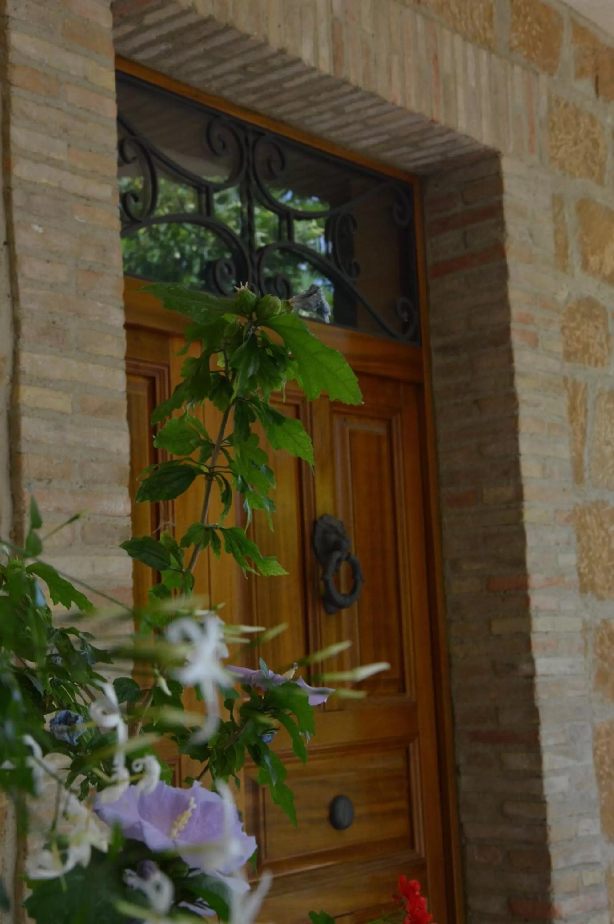 Property building in B&B La Roverella