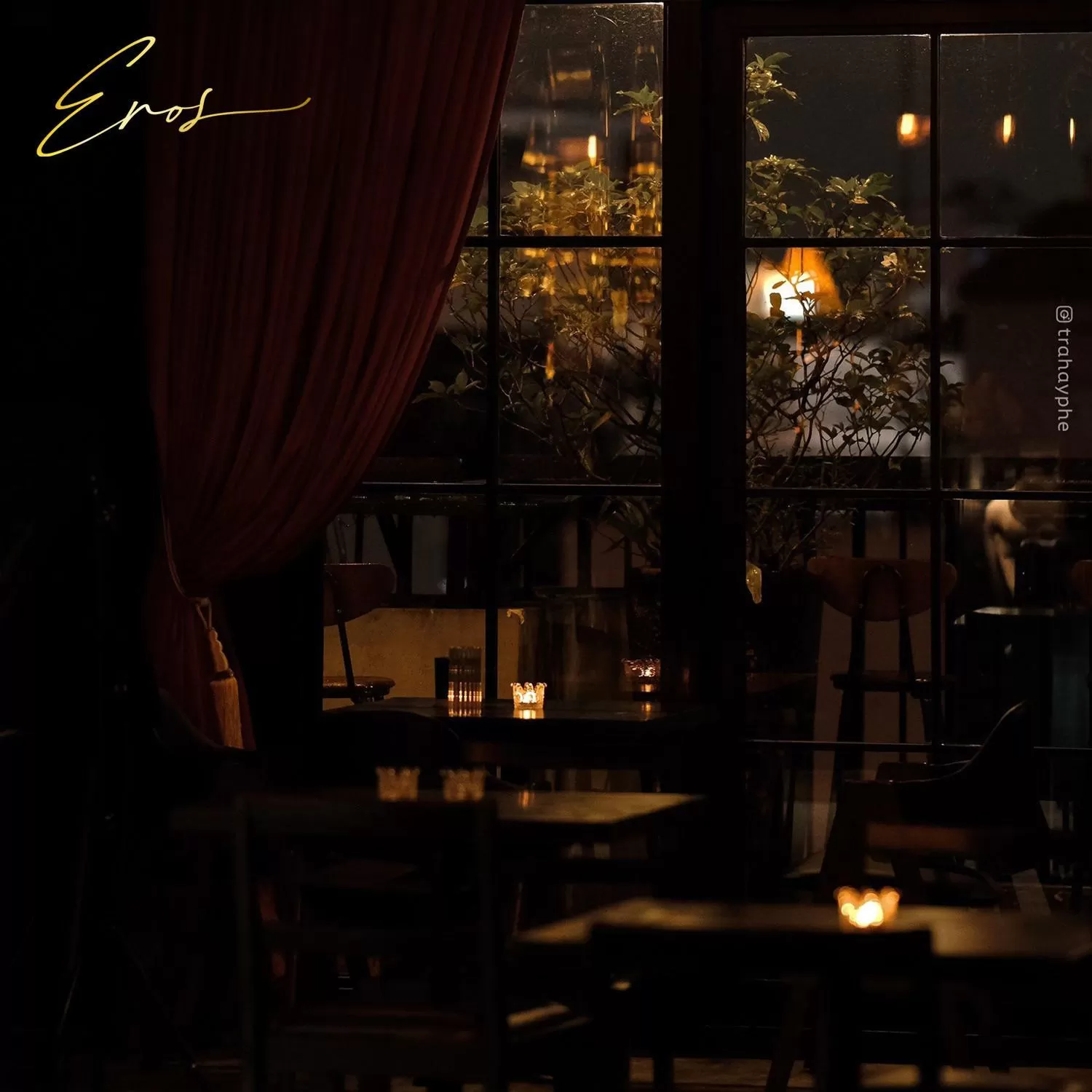 Lounge or bar in The Alcove Library Hotel