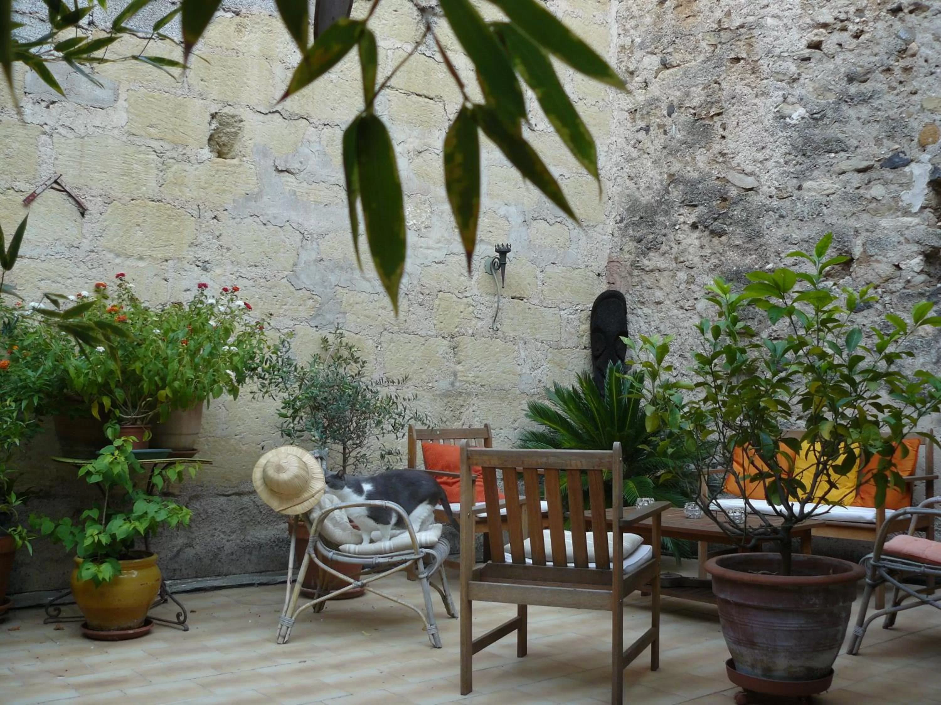 Patio in Chambres d'Hôtes de Fleurus