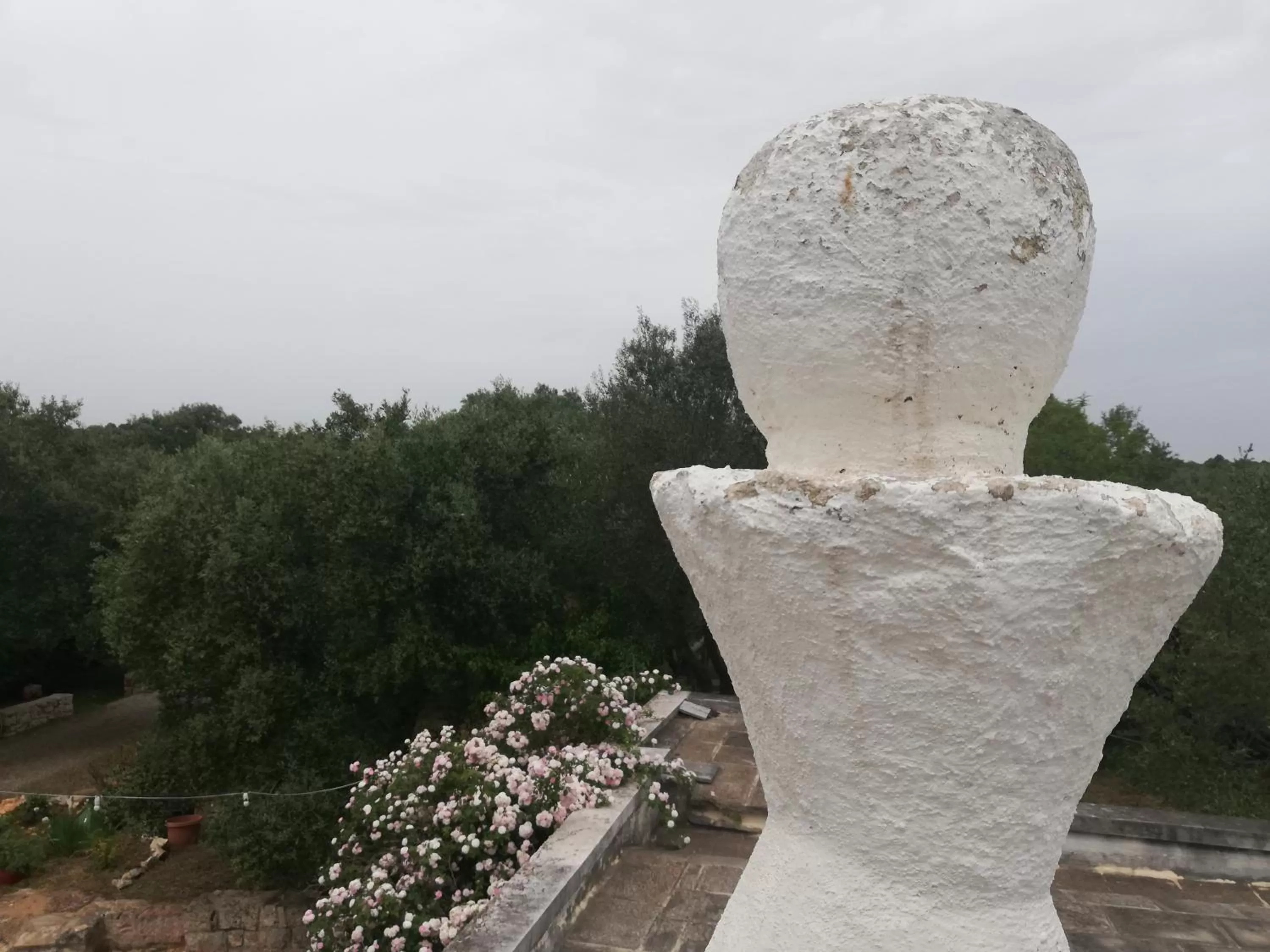 B&B Giovannarolla Green House