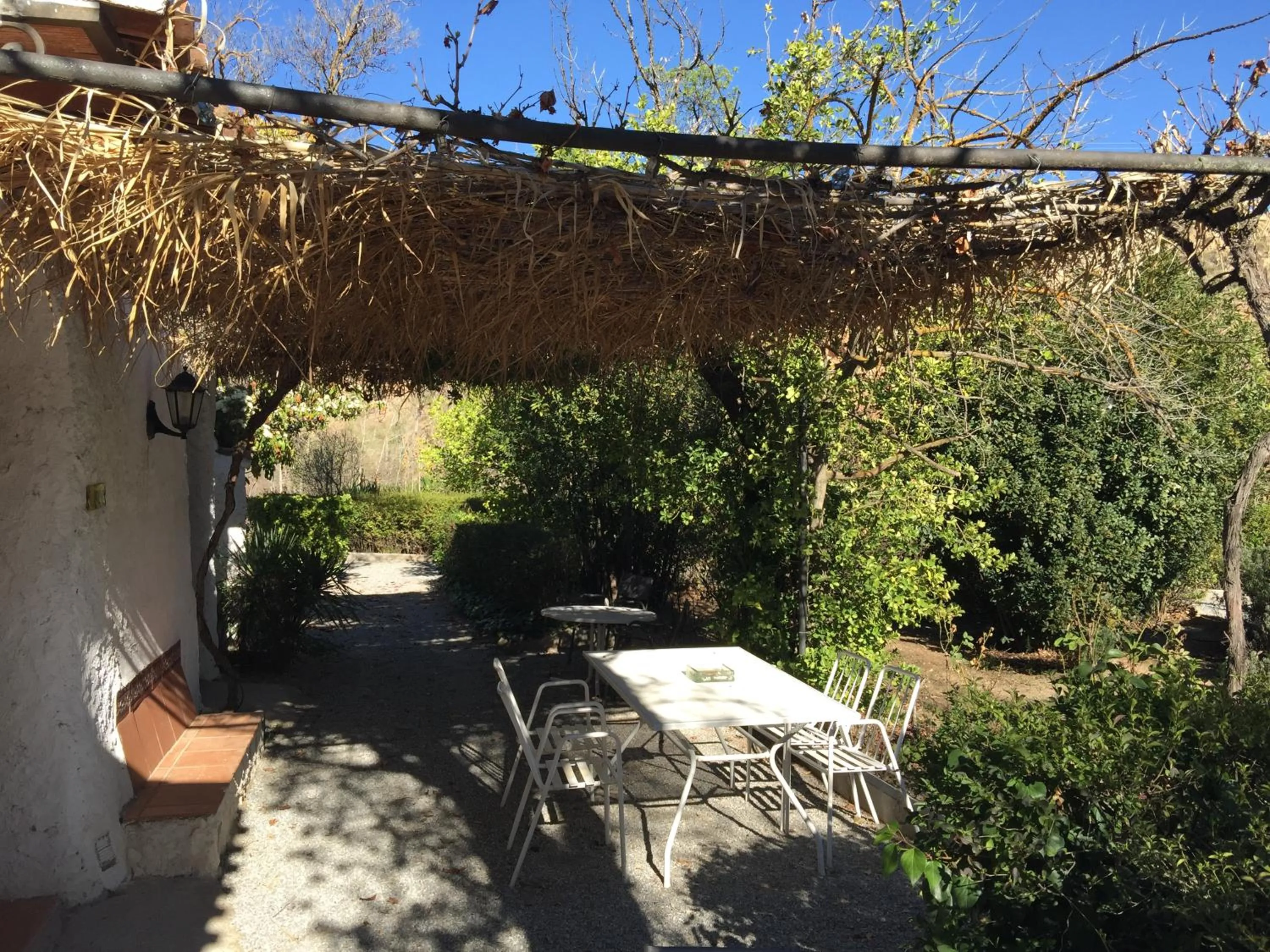 Garden in Casas Cueva y Cortijo La Tala en Guadix