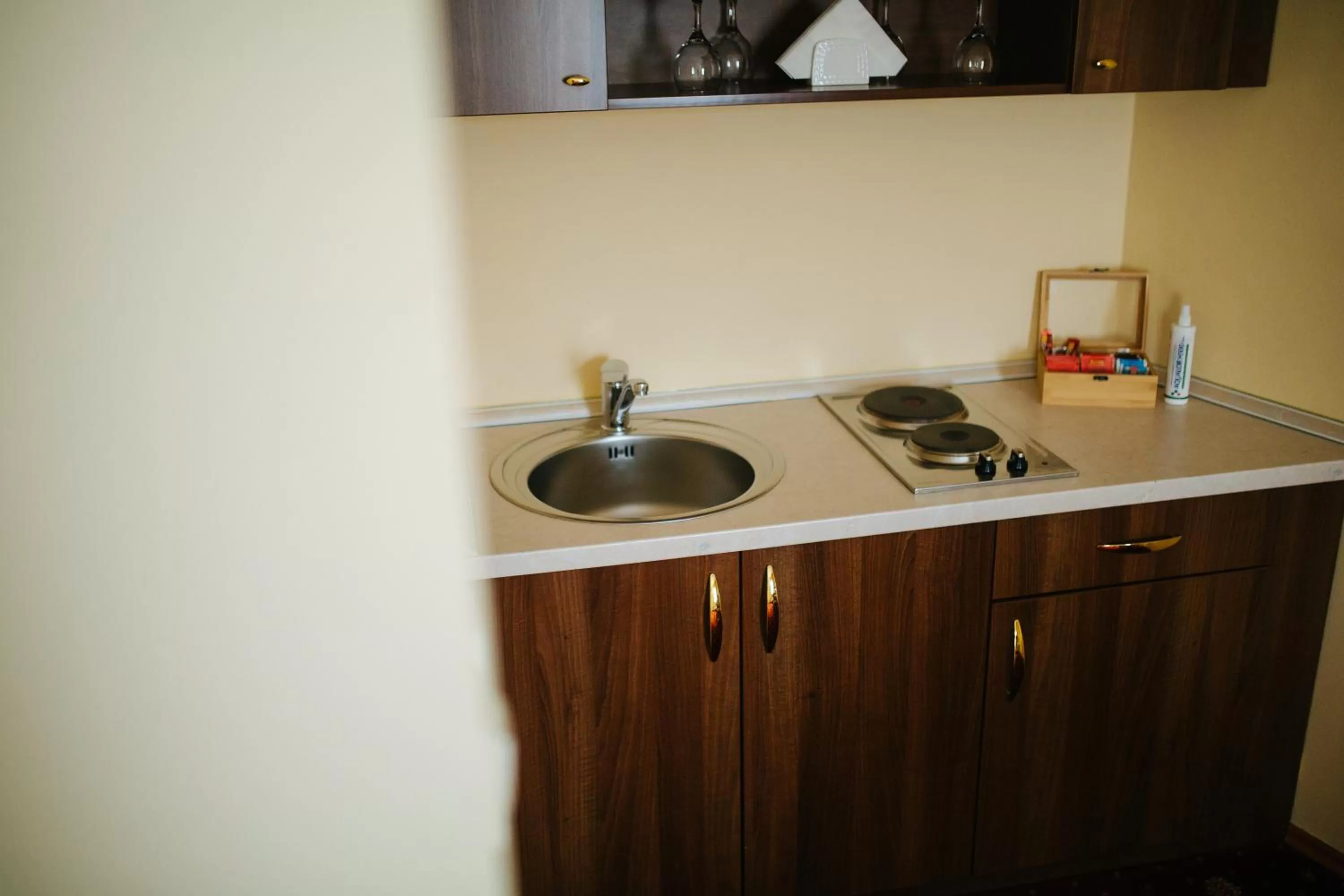 Kitchen or kitchenette, Kitchen/Kitchenette in Garni Hotel Andric