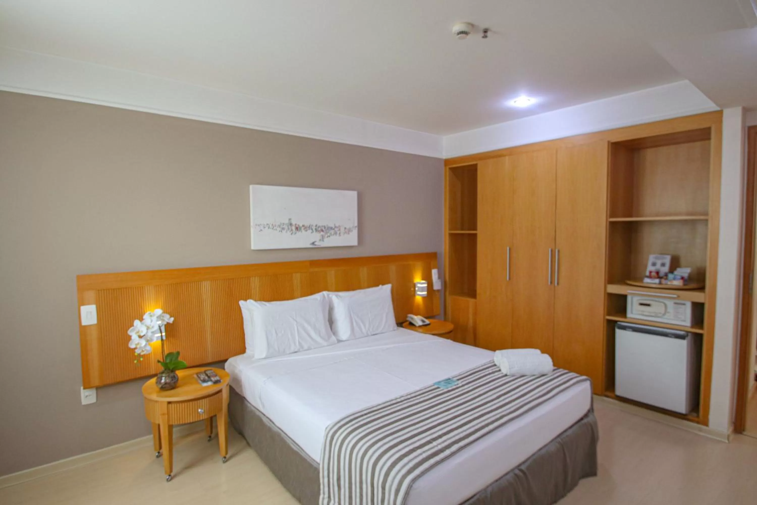 Standard Double Room in Belo Horizonte Plaza
