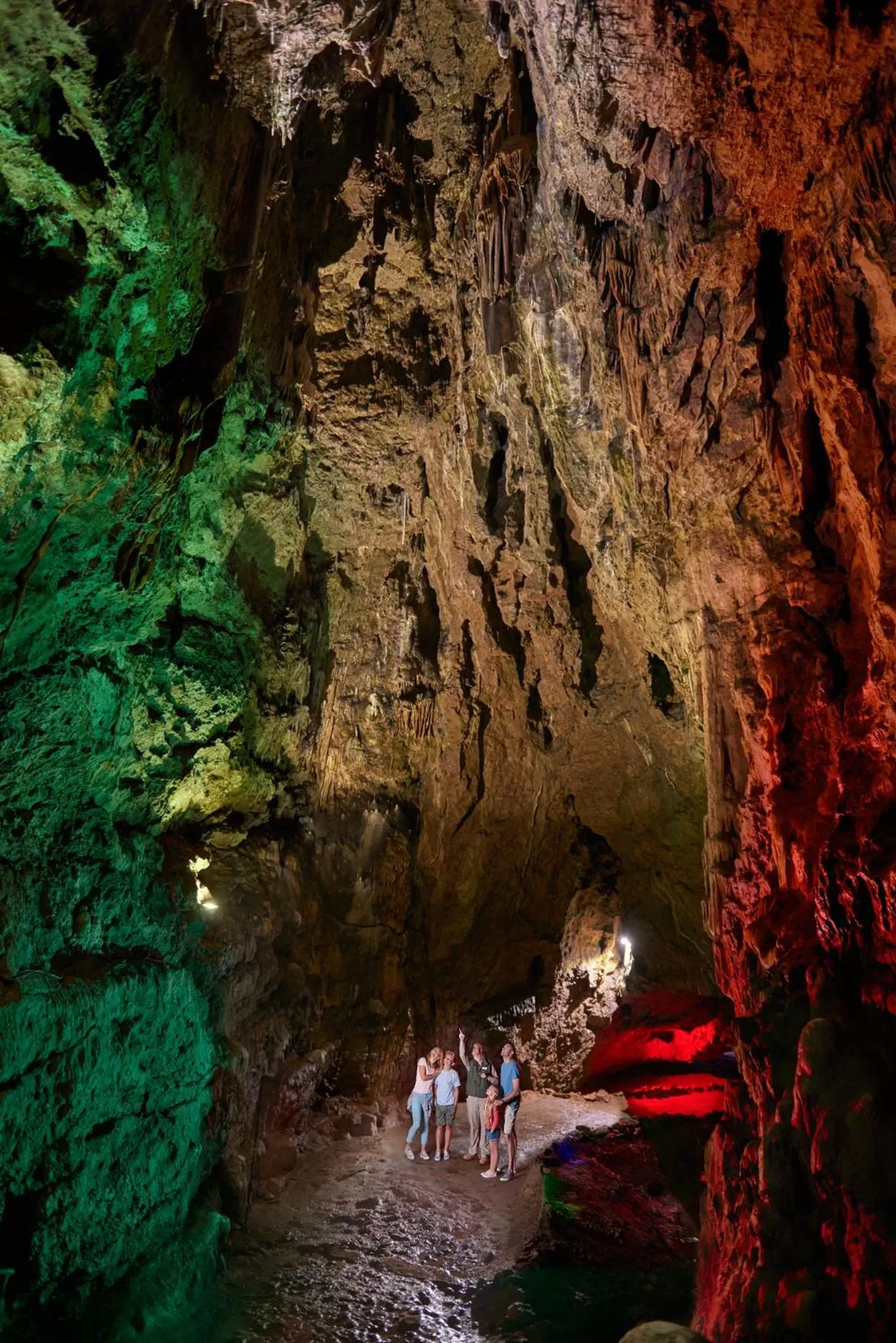 Nearby landmark in Wookey Hole Hotel