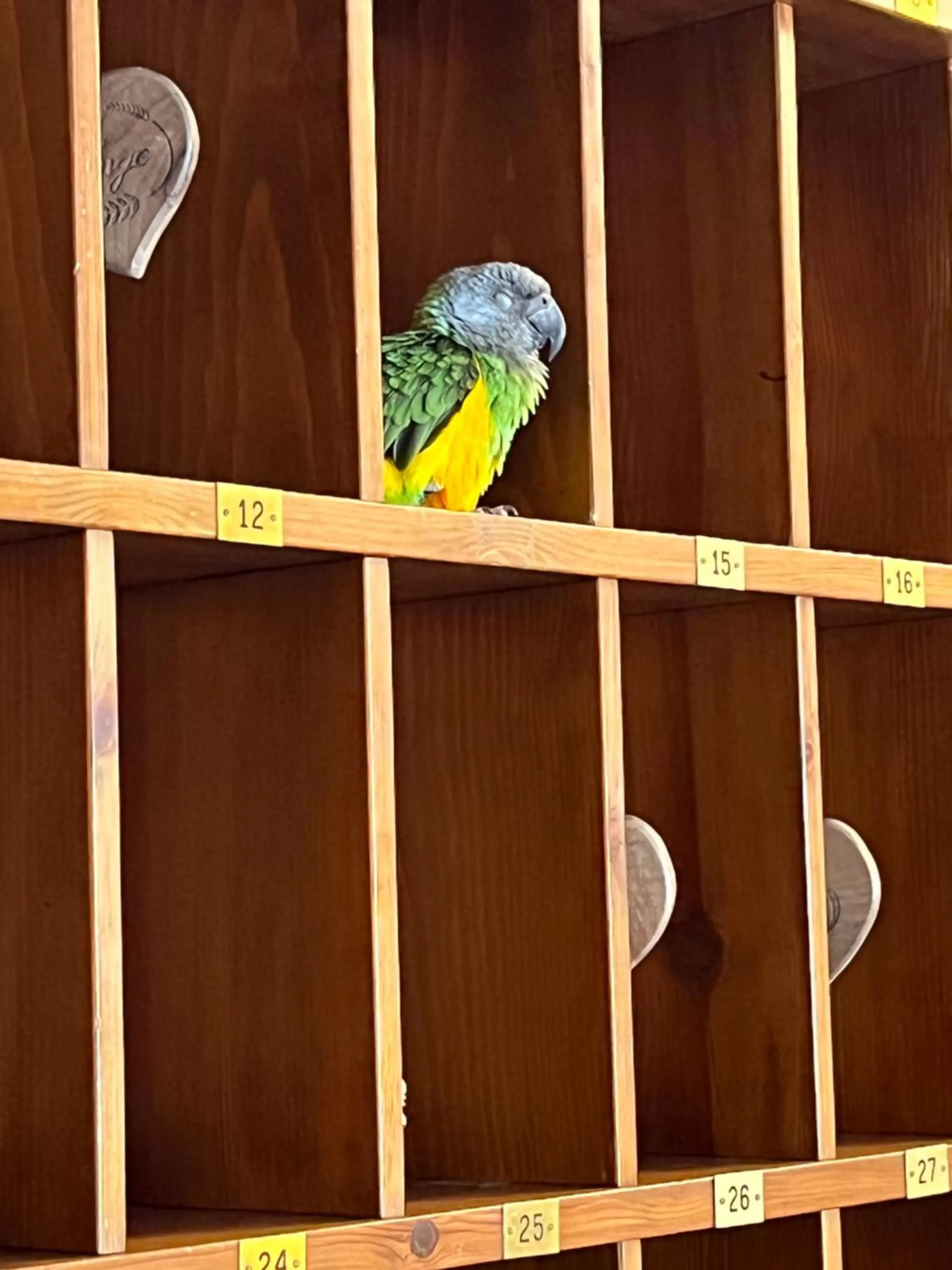 Lobby or reception in Hotel La Grange - Animal Chic Hotel