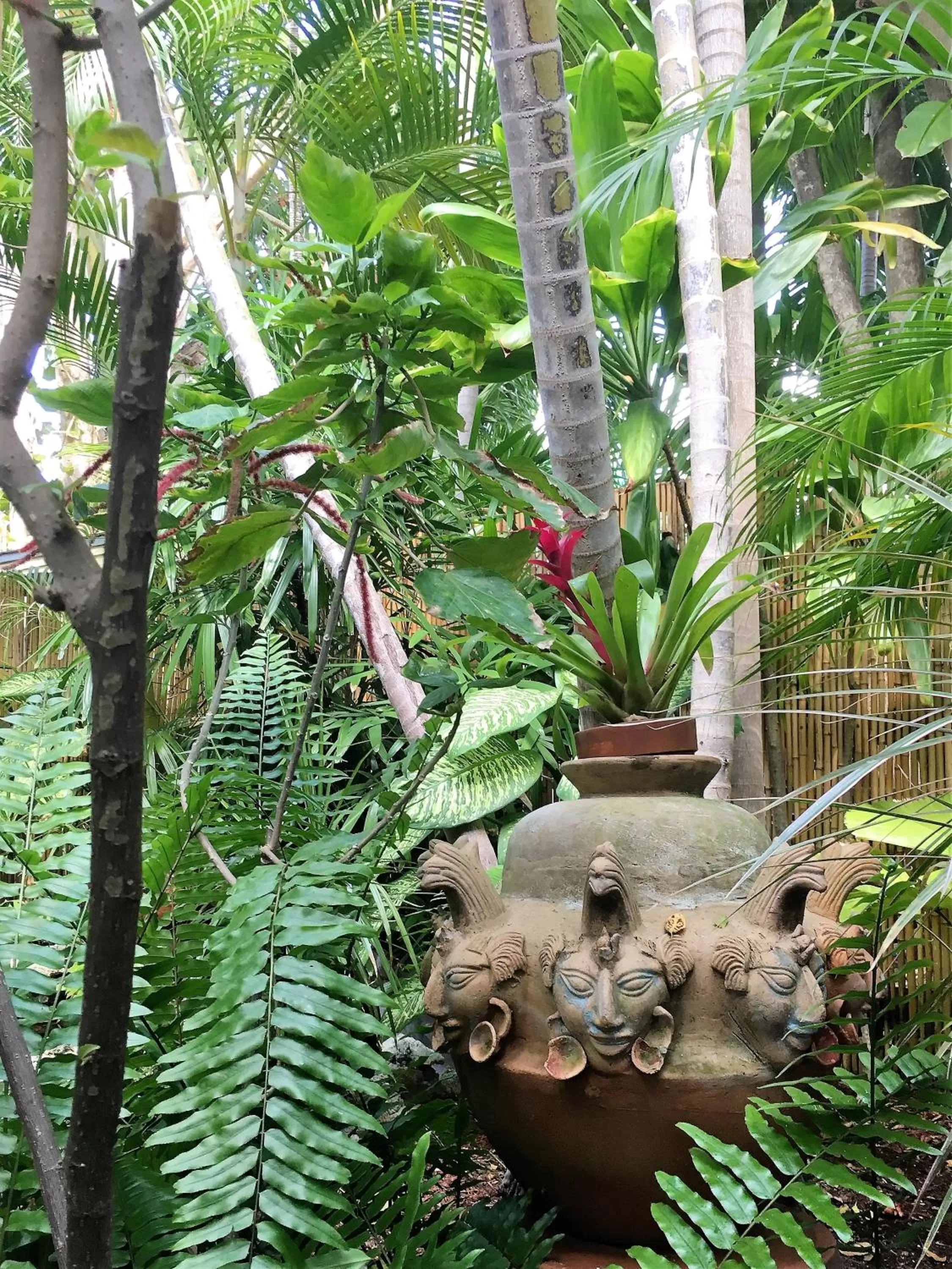 Garden in Douglas House