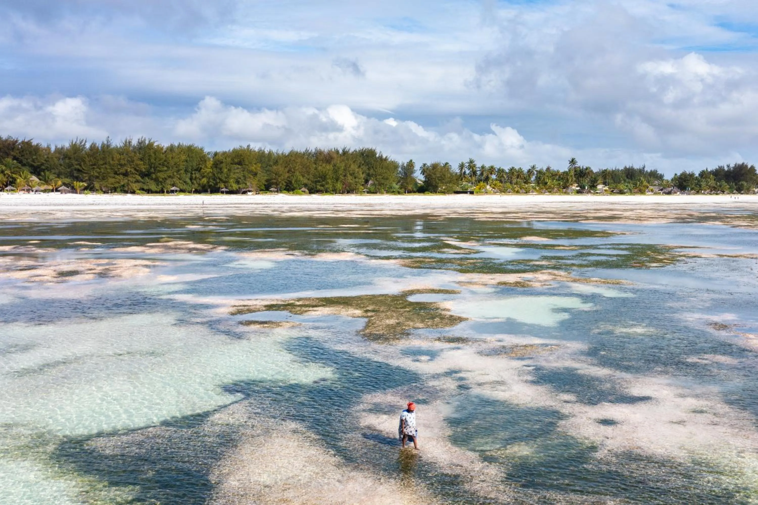 Natural landscape in Hakuna Majiwe Beach Lodge