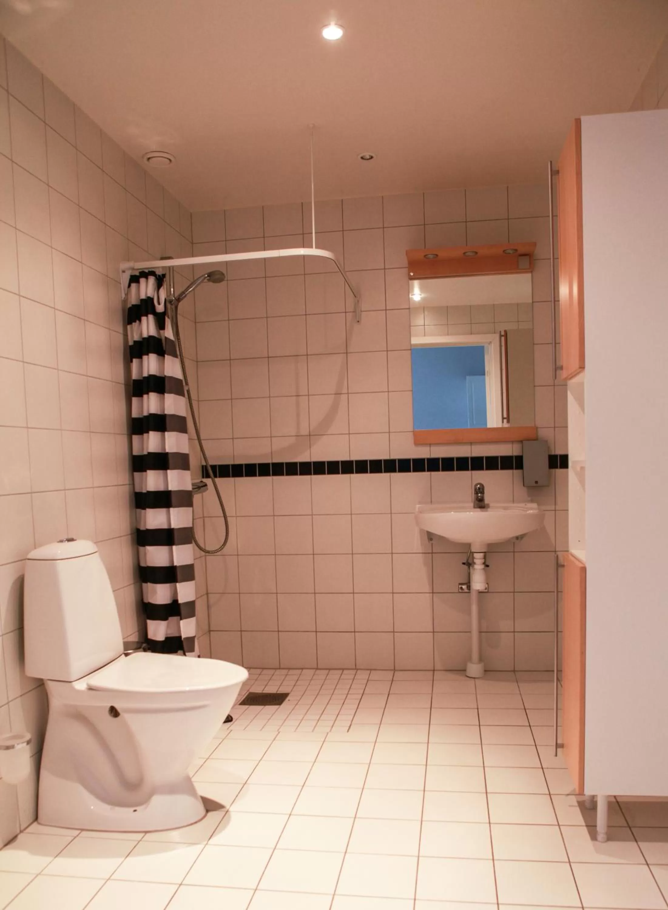 Toilet, Bathroom in Tomelilla Golf Hotell