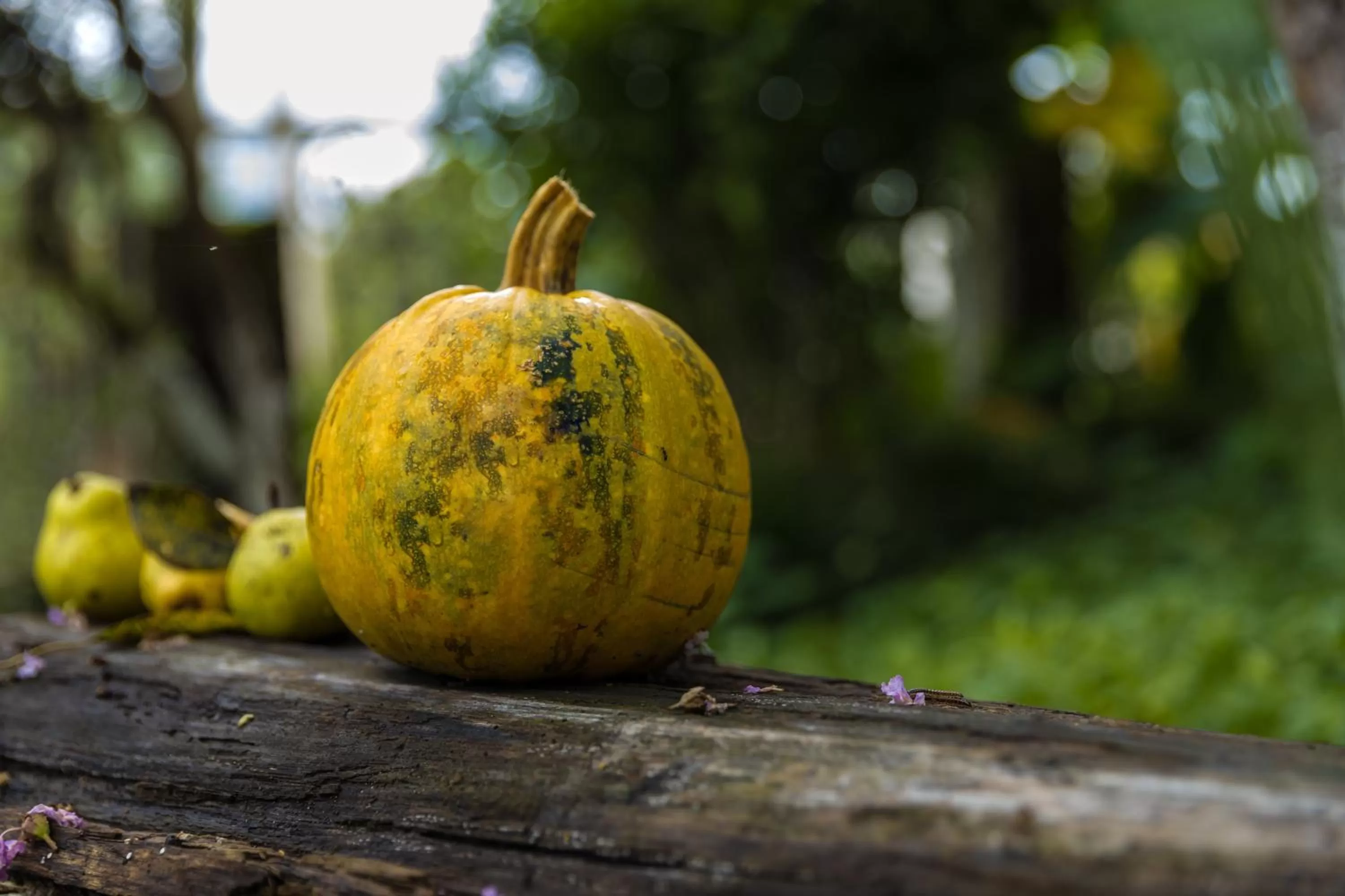 Food and drinks, Food in TJ GARDENS