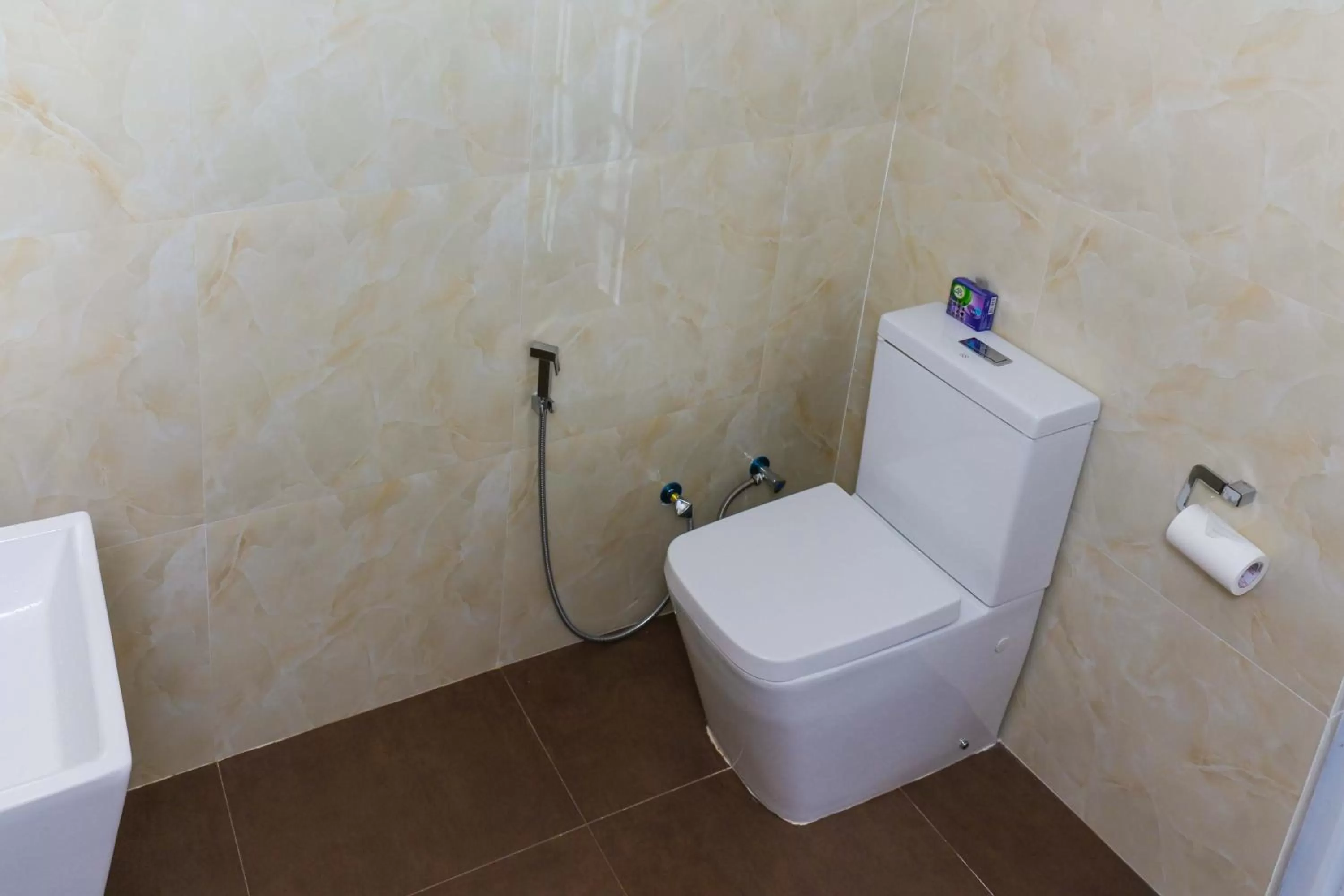 Bathroom in Hotel Mount Castle