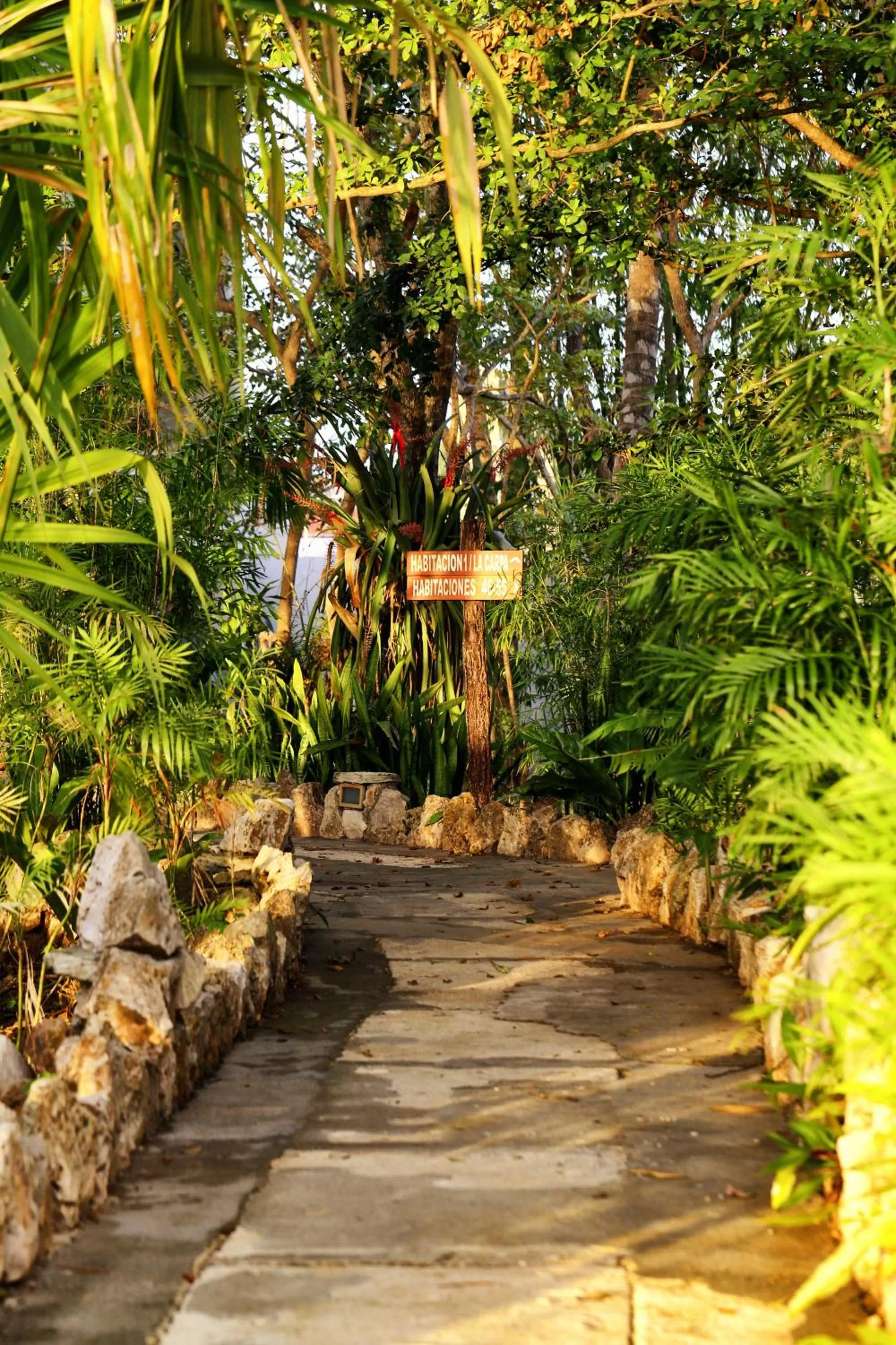 Property building in Hotel Maya Internacional