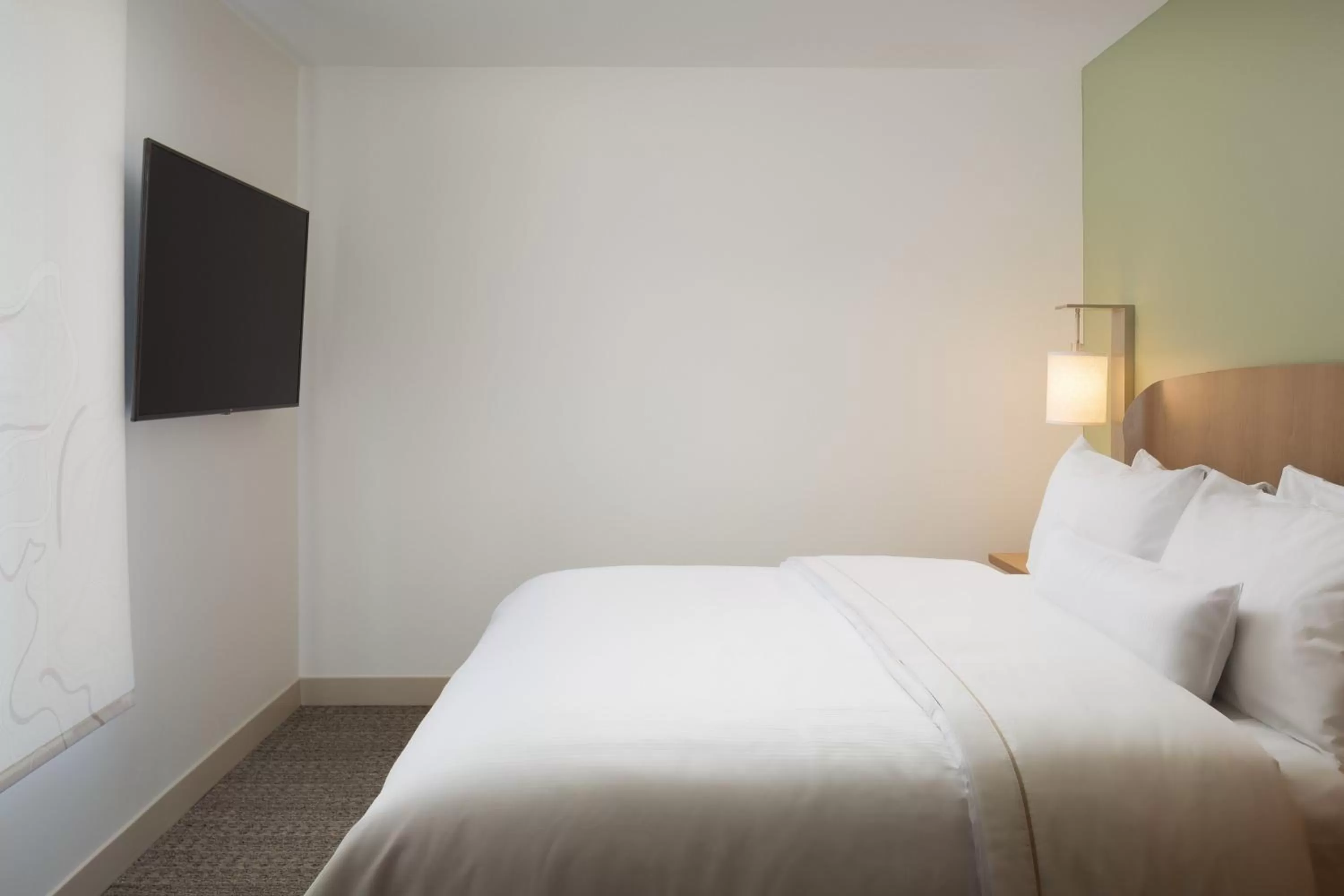 Photo of the whole room, Bed in Element Denver Downtown East