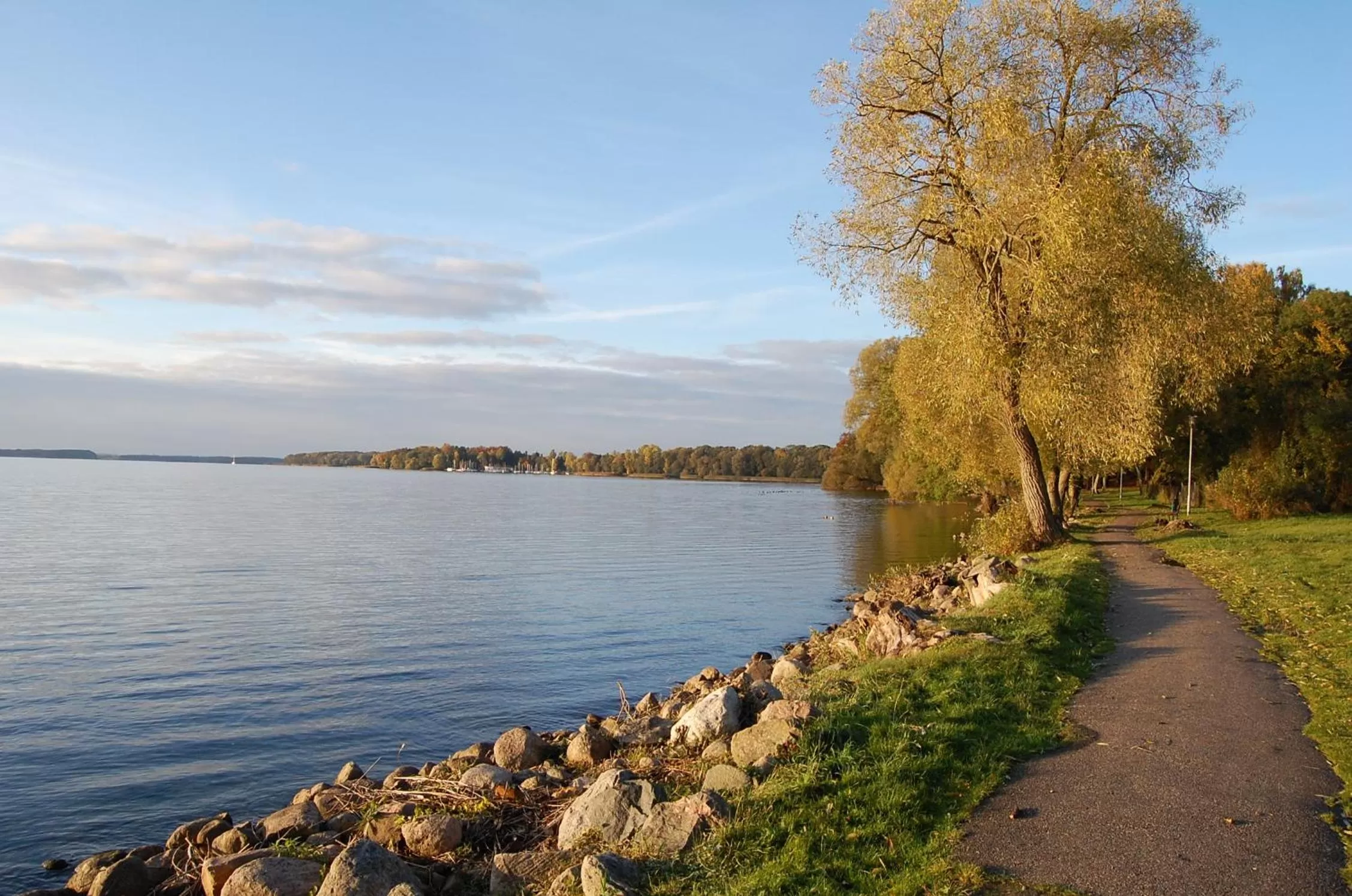 Cycling in Przystanek Czapla
