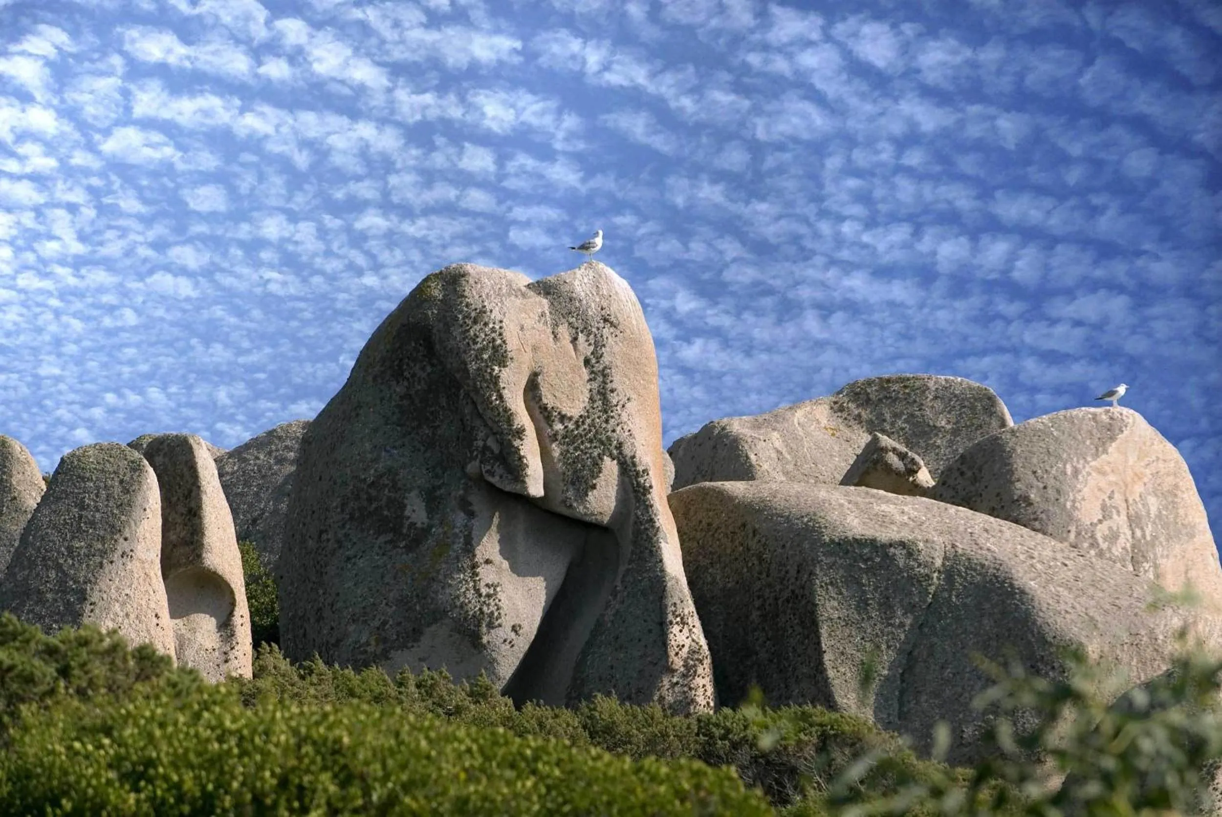 Area and facilities in COLONNA GRAND HOTEL CAPO TESTA, a Colonna Luxury Beach Hotel, Santa Teresa Sardegna