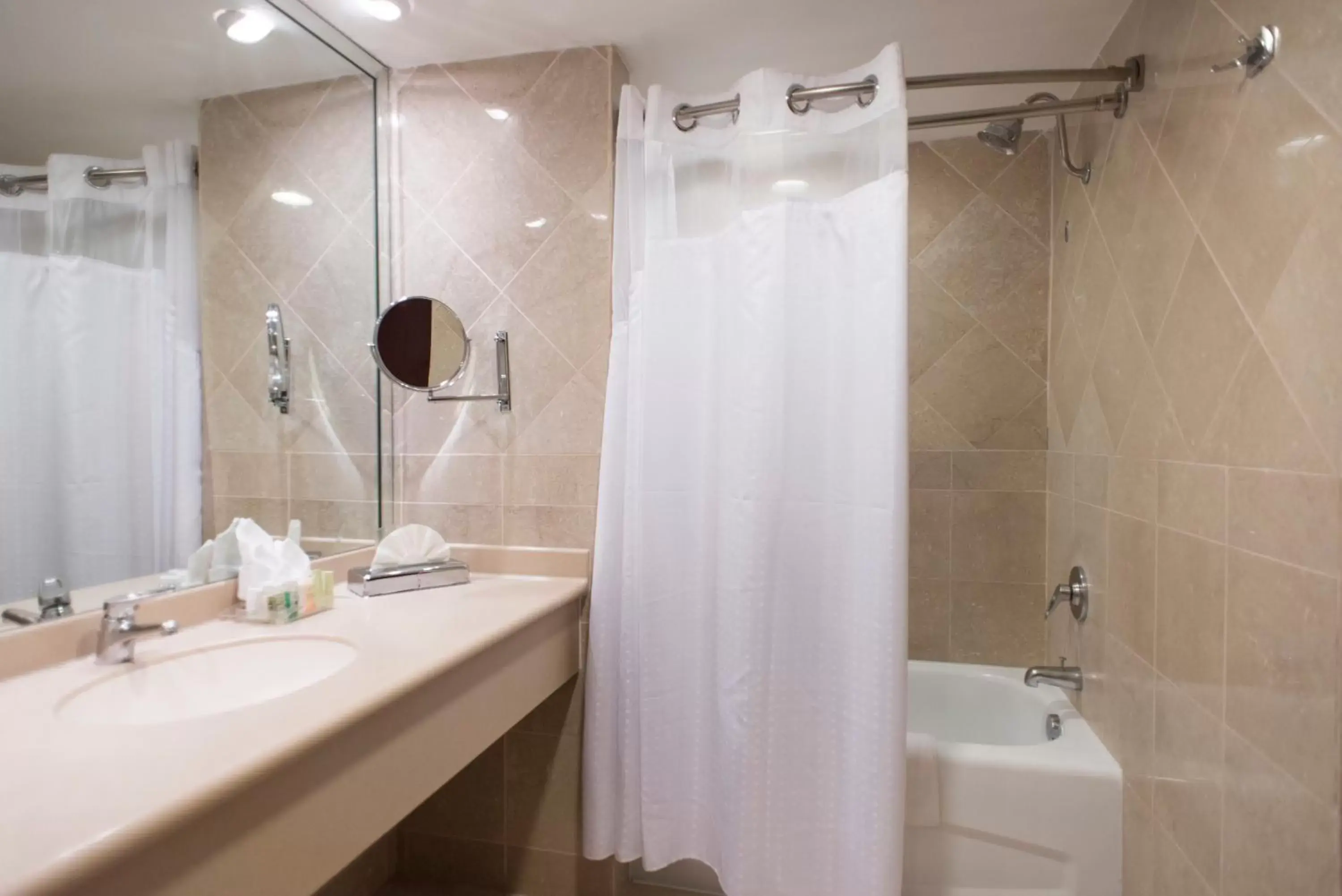 Standard King Room - single occupancy in Holiday Inn Convention Center by IHG Standard King Room - single occupancy in Holiday Inn Convention Center by IHG