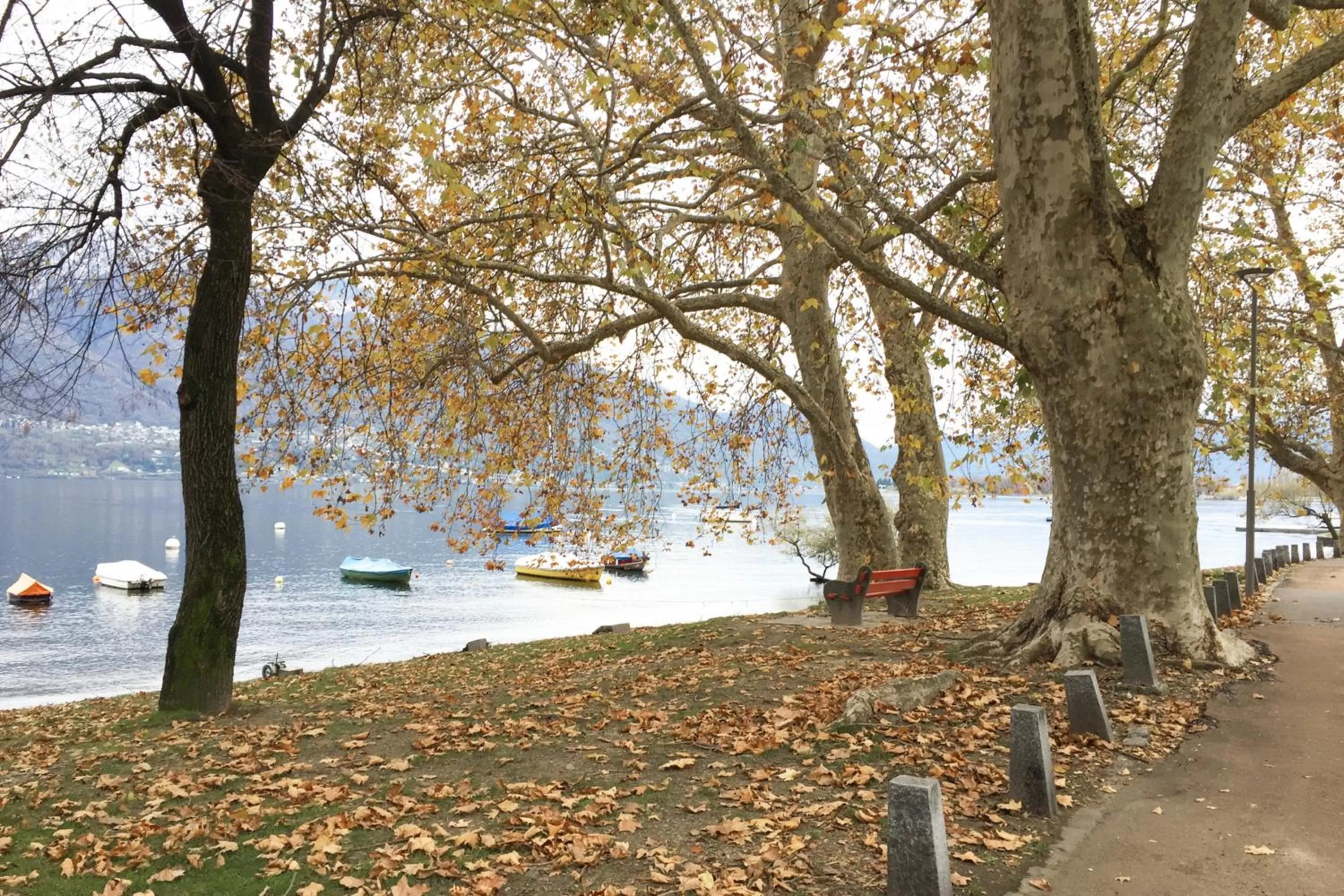 Natural landscape in Riva Rooms & Studios - Check-In 24hr