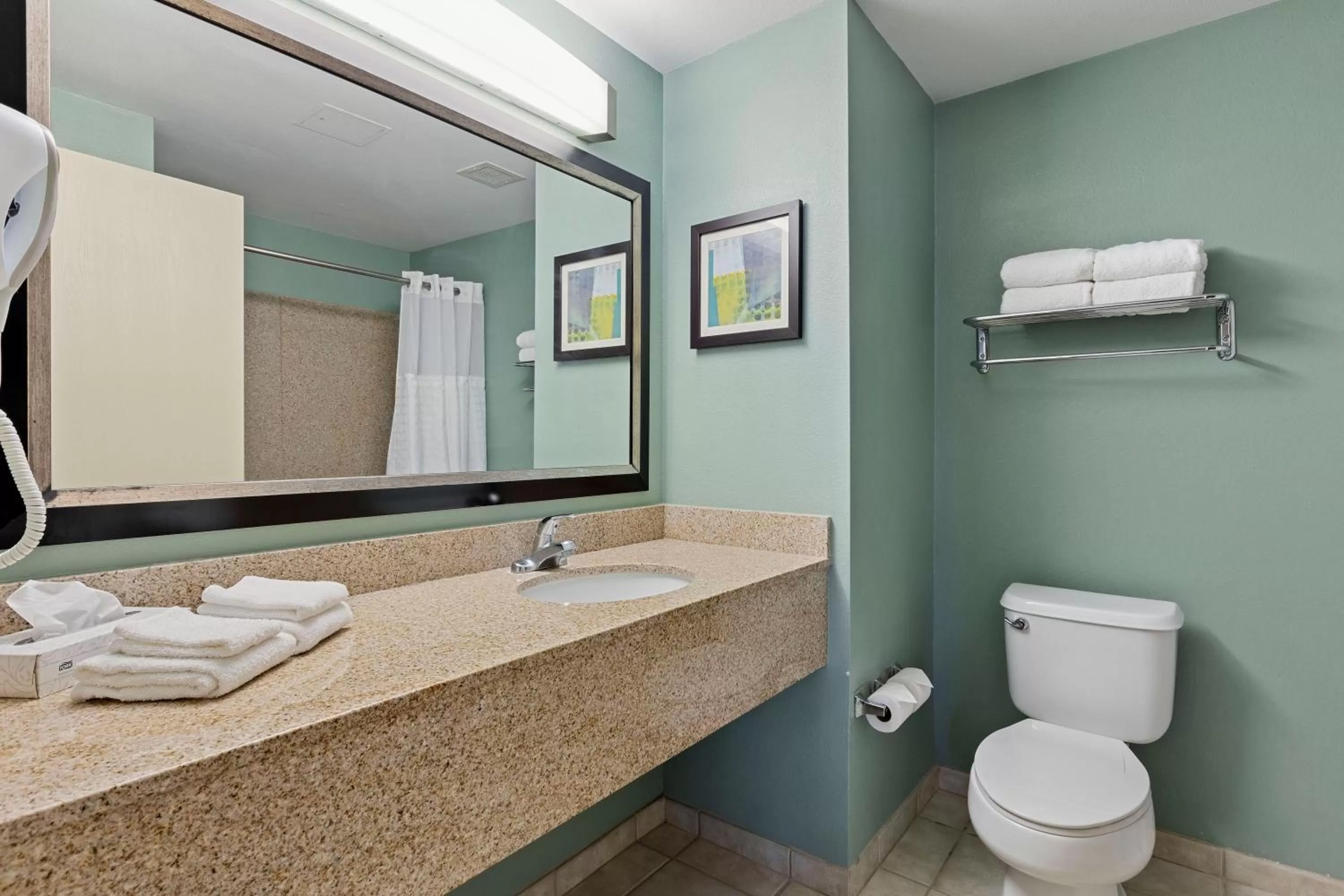 Bathroom in Extended Stay America Premier Suites - Lakeland - I-4