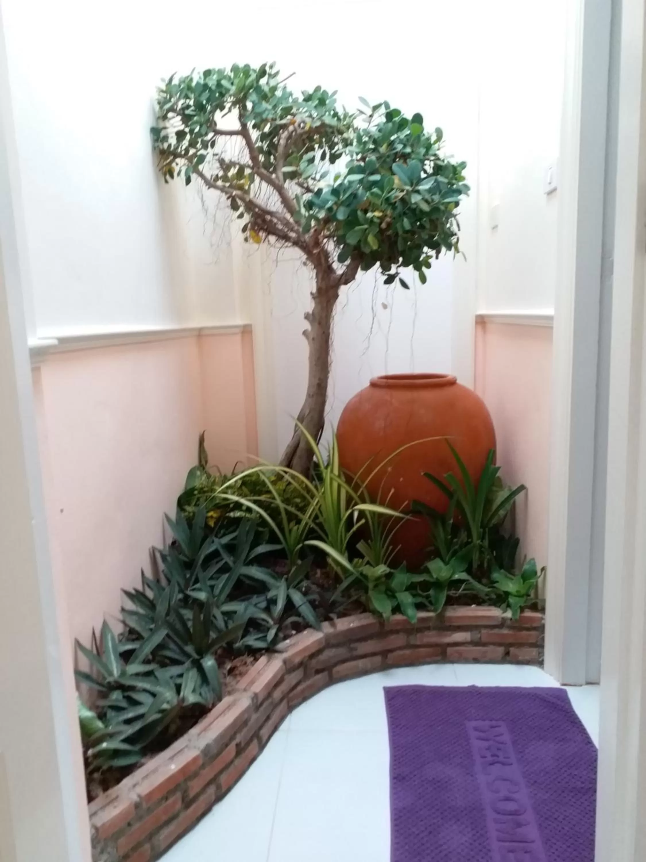 Garden view in Fancy Carp Resort