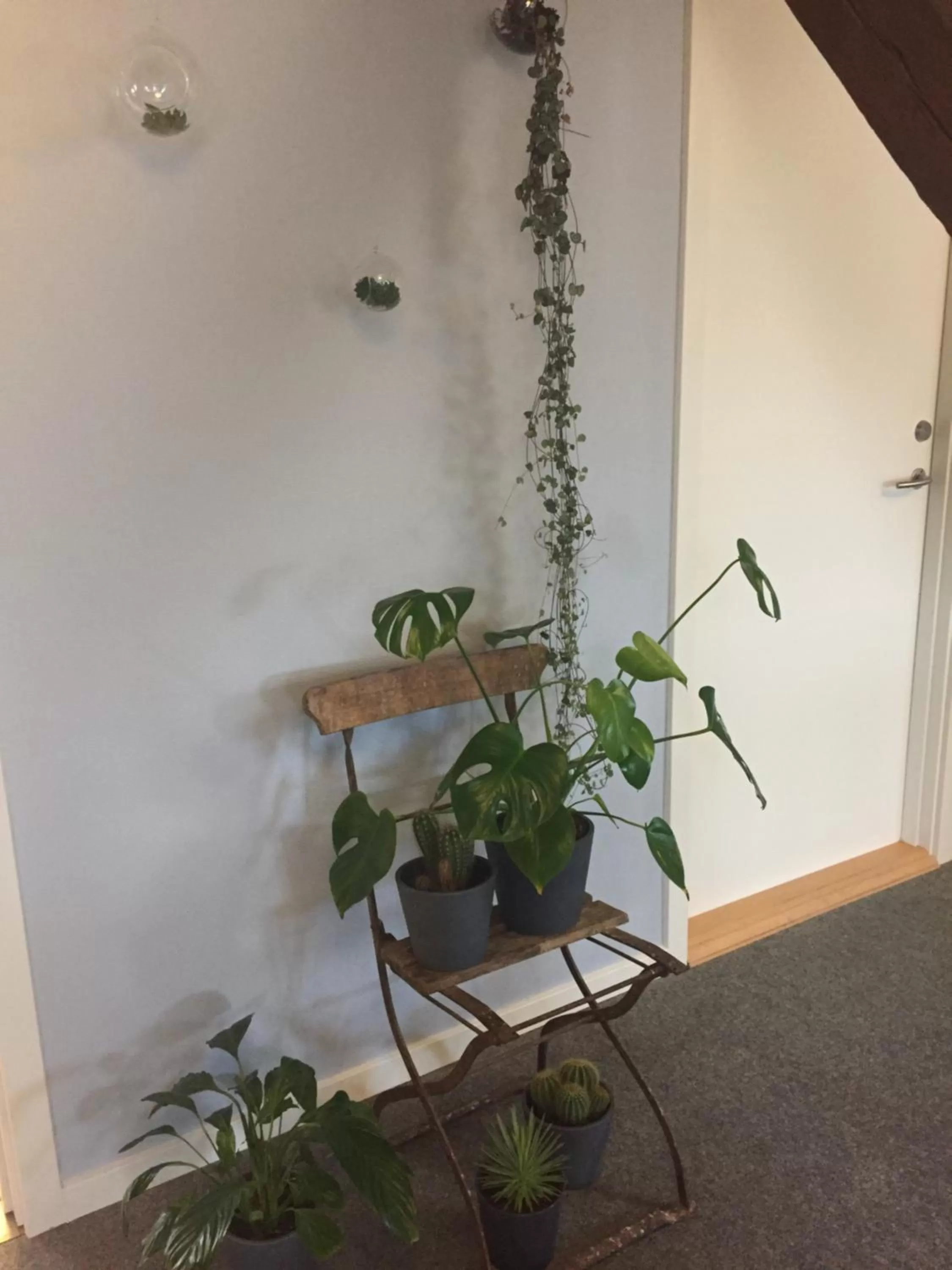 Communal lounge/ TV room in Rønhave